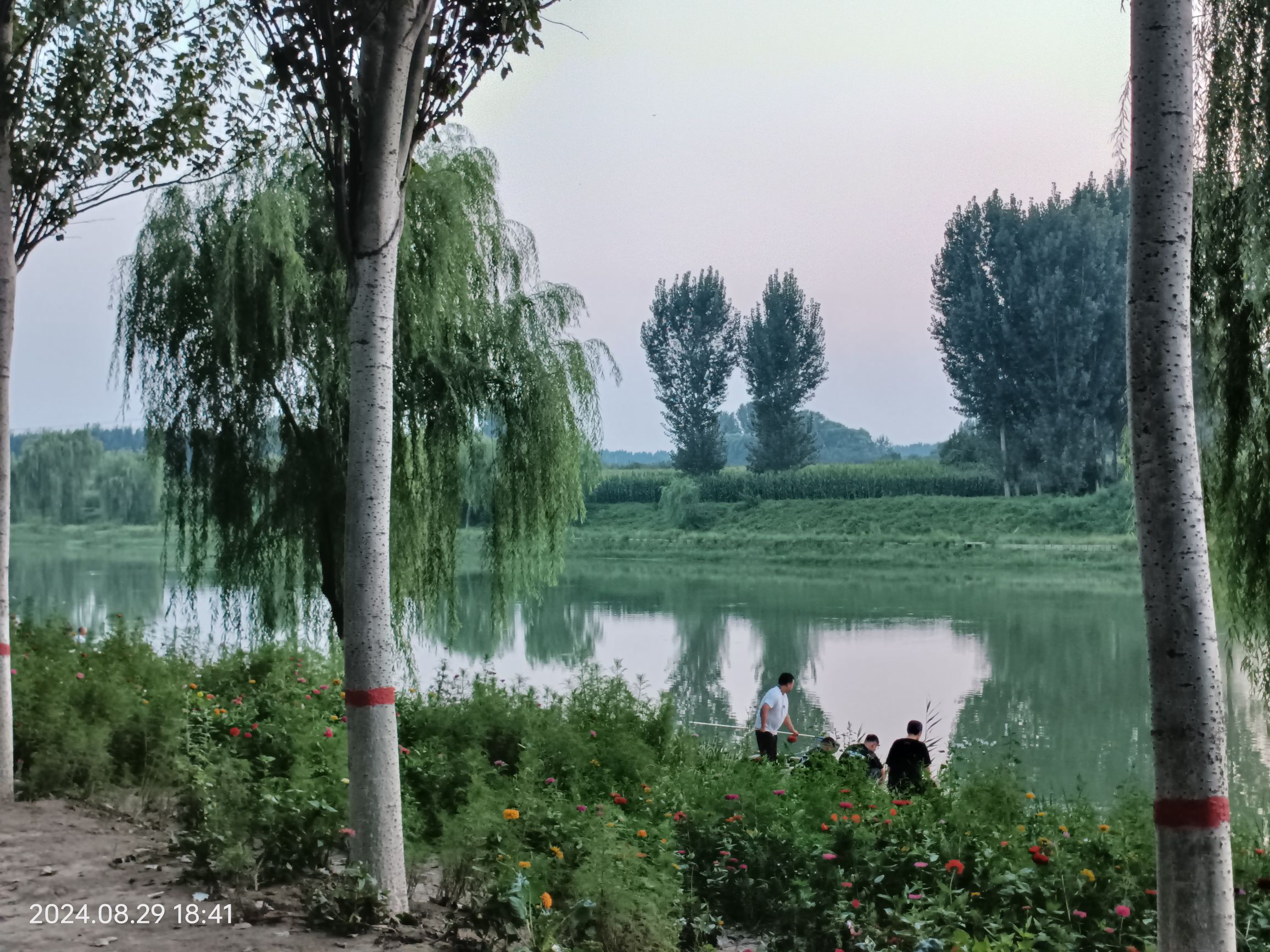 骑行公园旅行图片 2