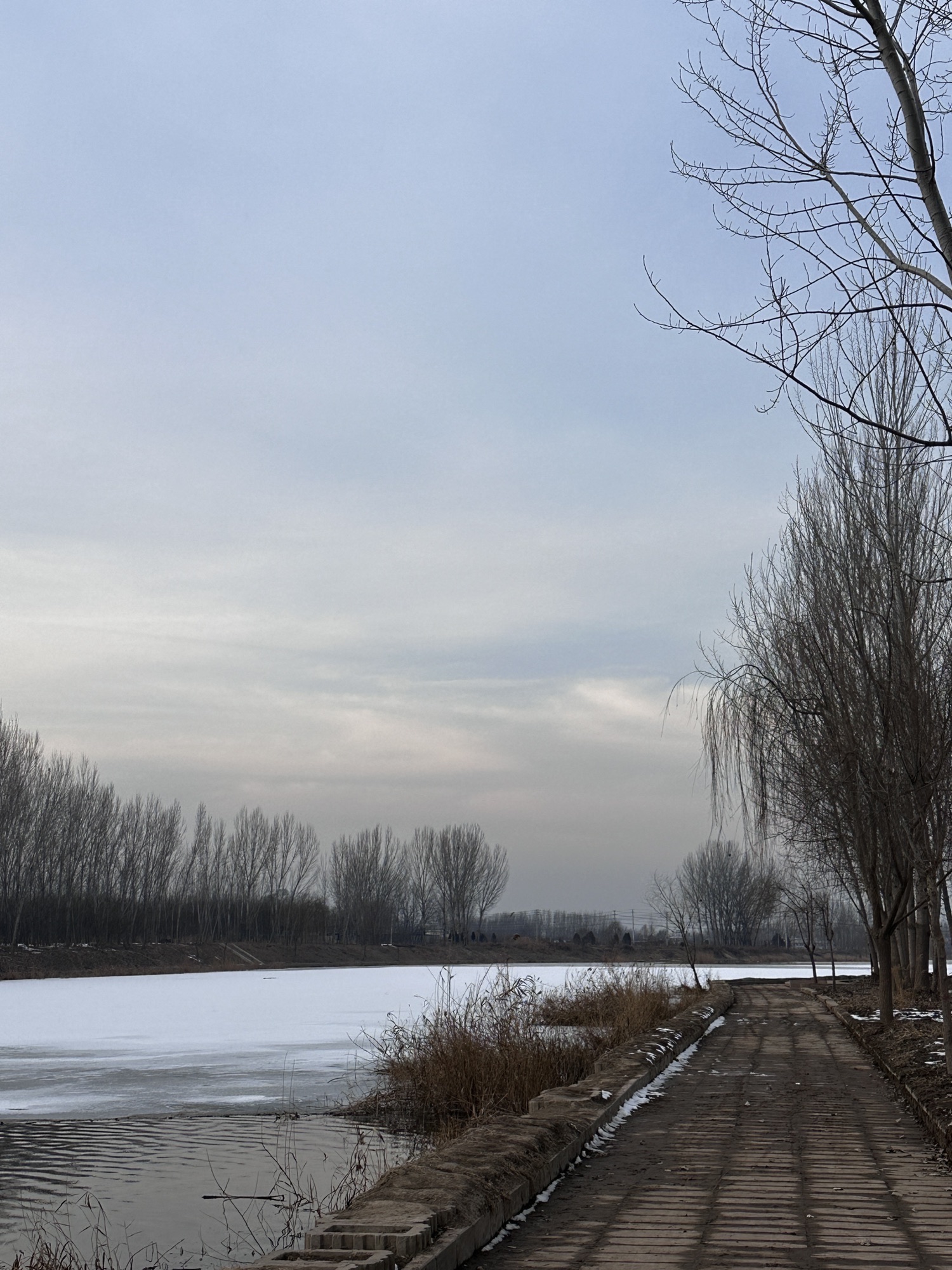 骑行公园旅行图片 3