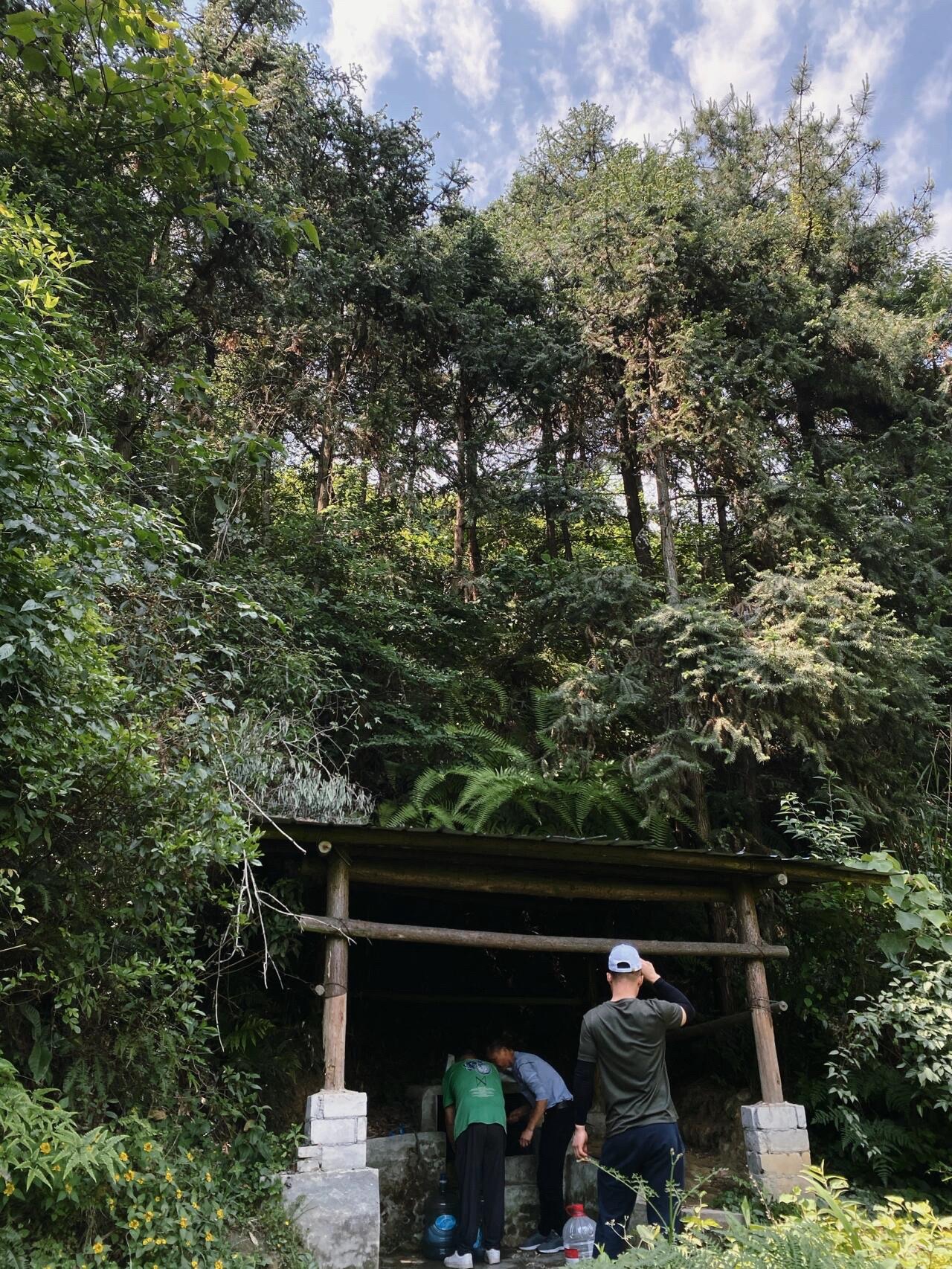 九峰山森林公园旅行图片 1