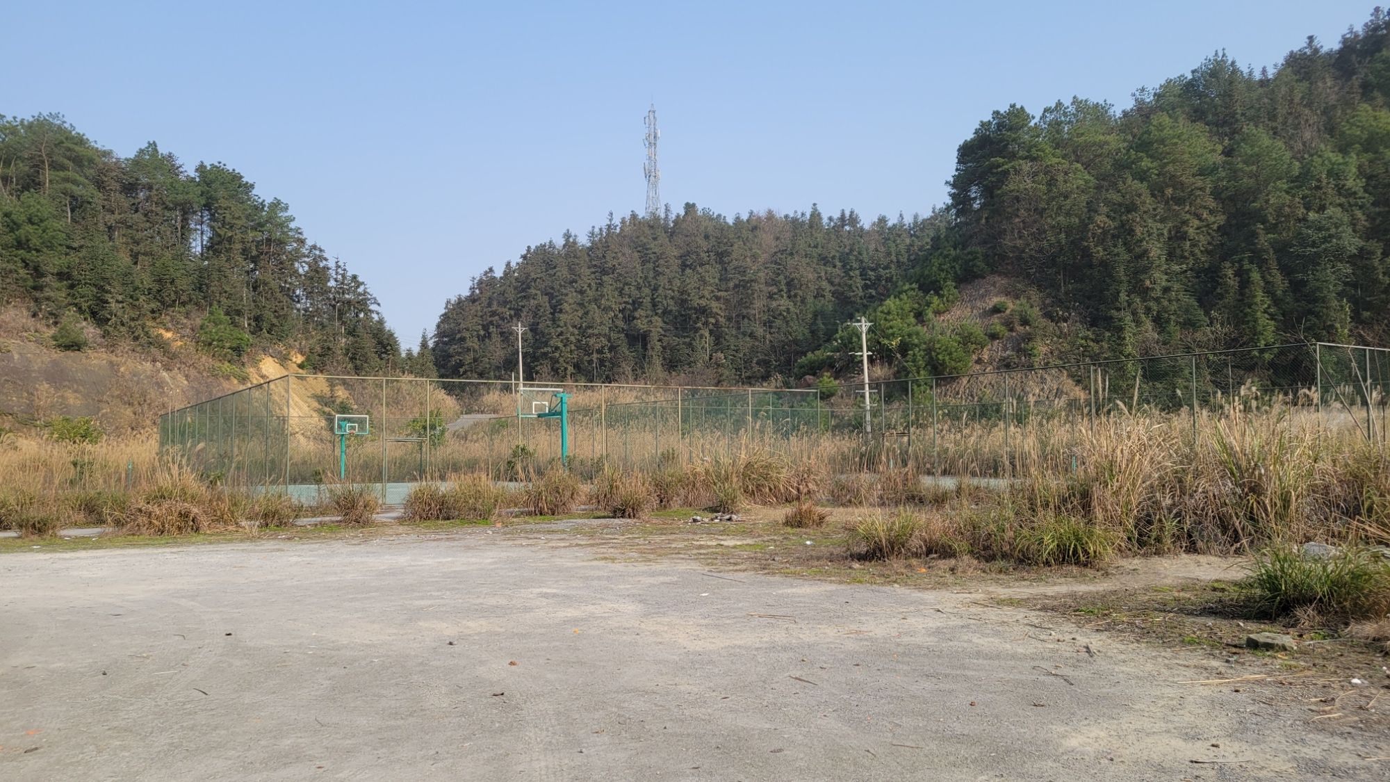 九峰山森林公园旅行图片 3