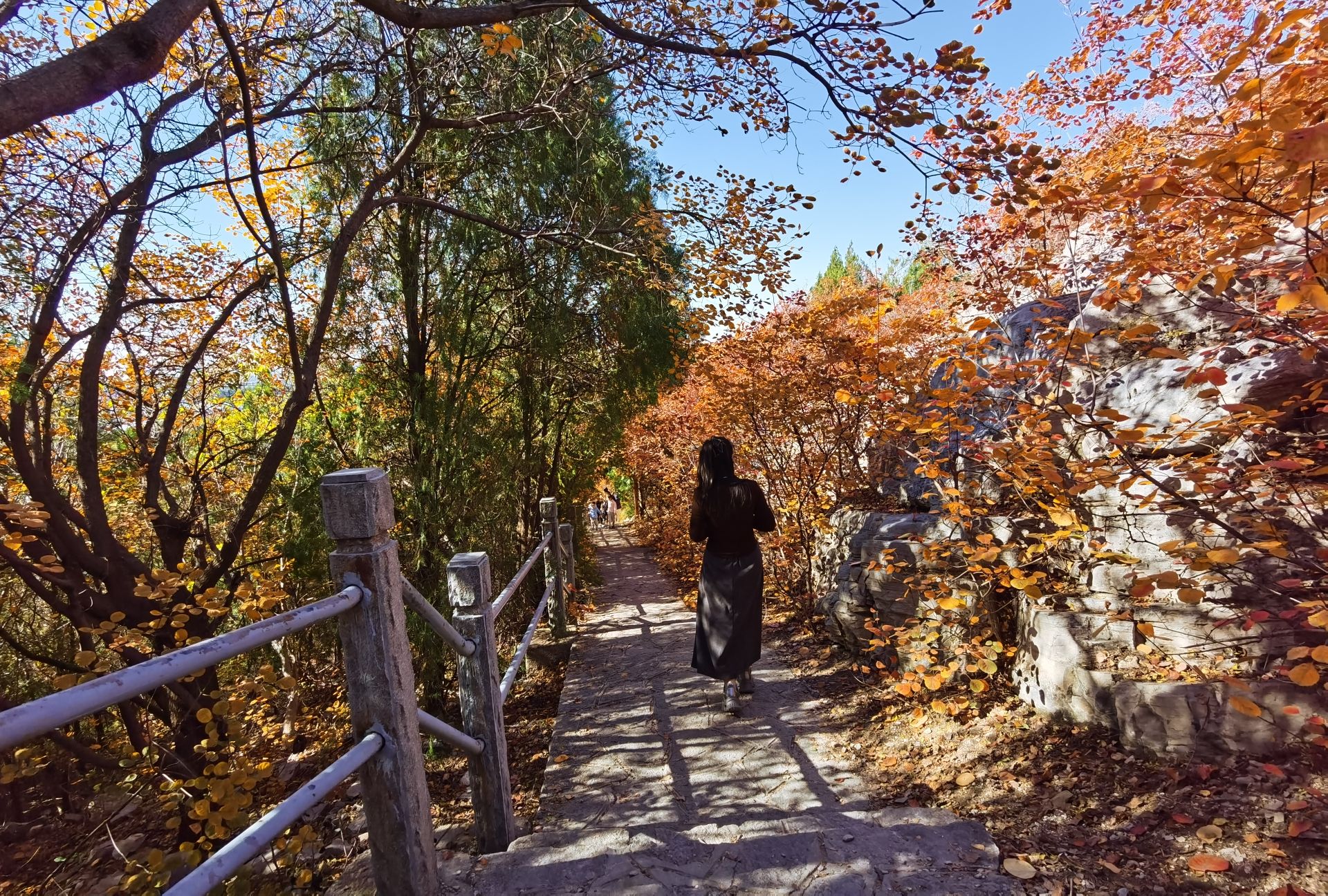 腊山-遗址 2