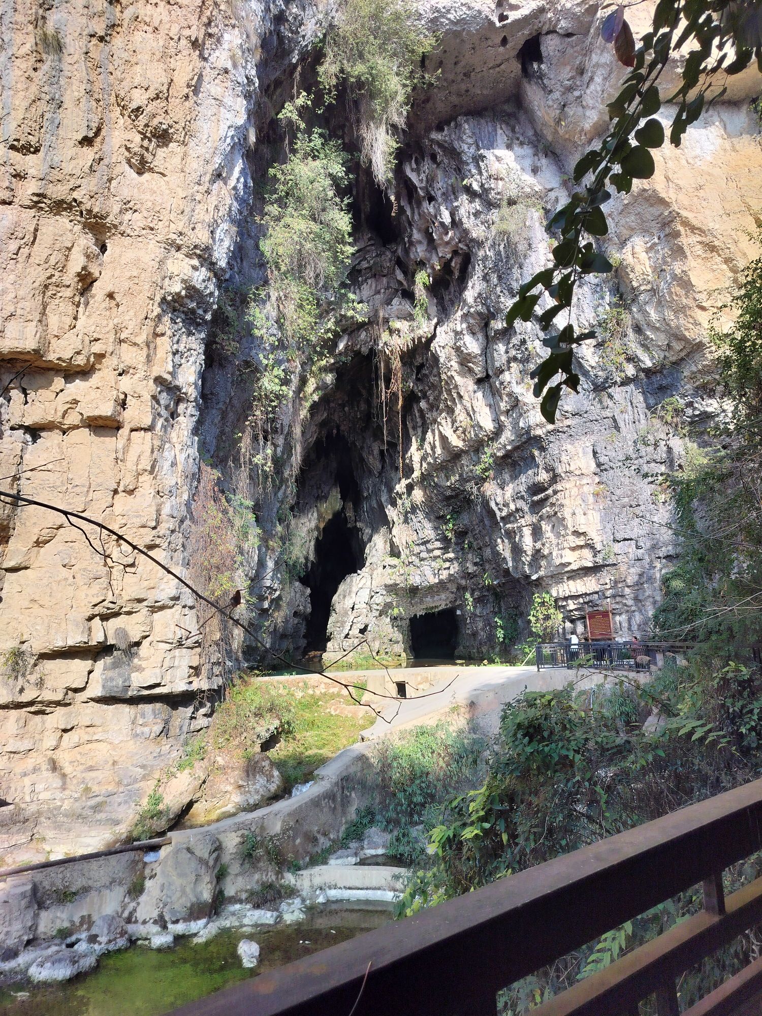 红渡景区旅行图片 1