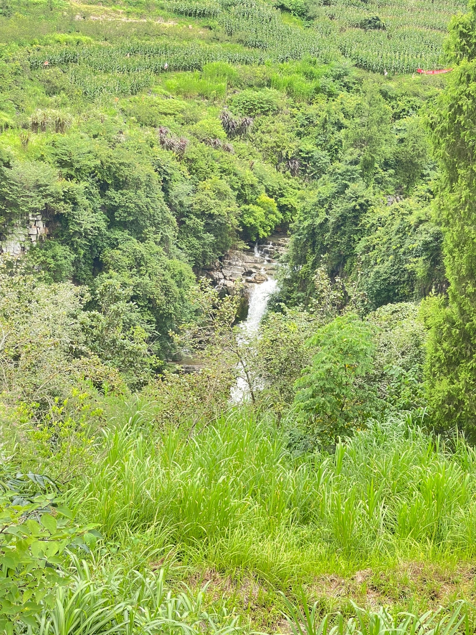 红渡景区旅行图片 1