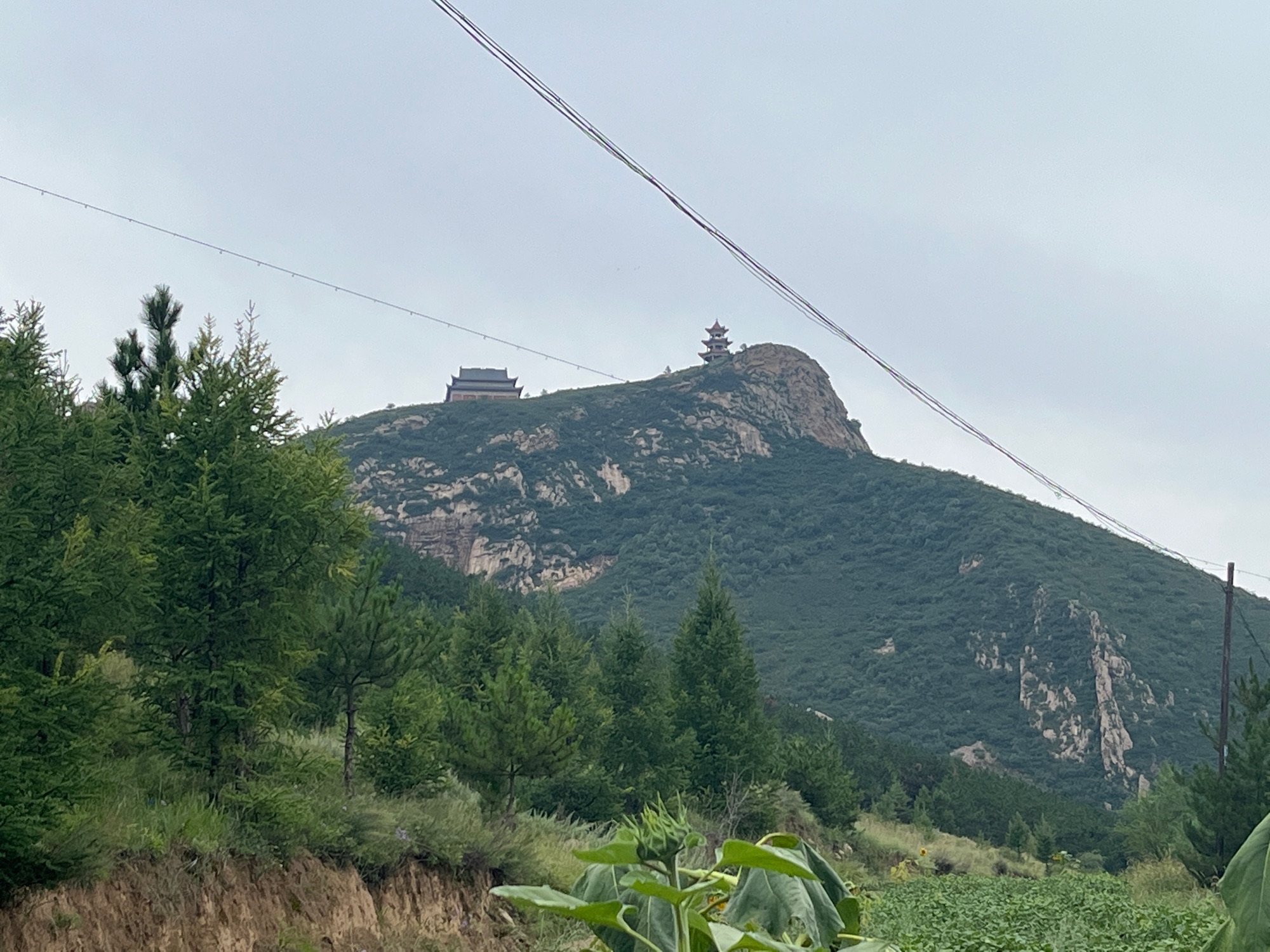 舍身崖旅行图片 2