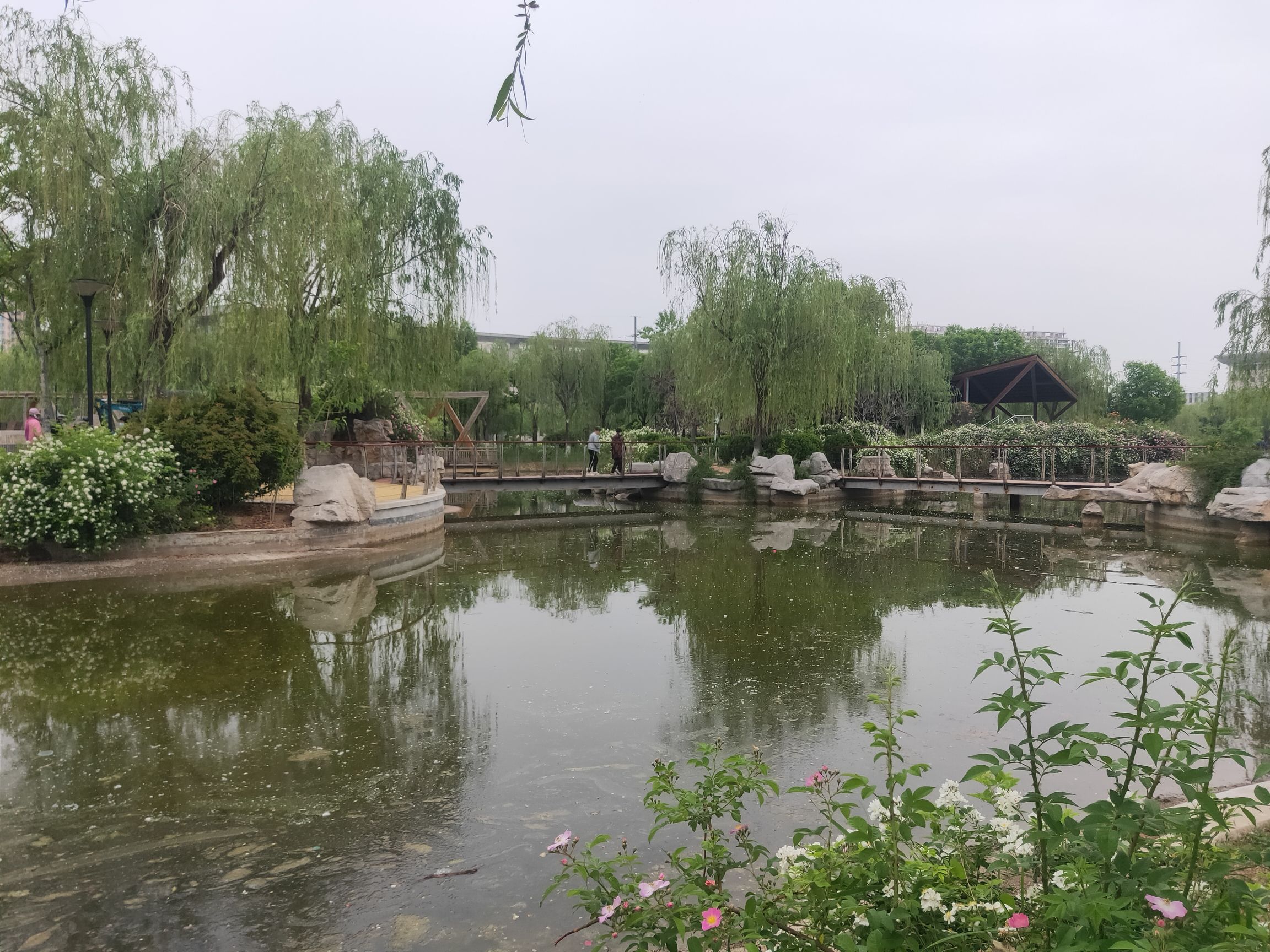 济阳区安澜湖公园旅行图片 3
