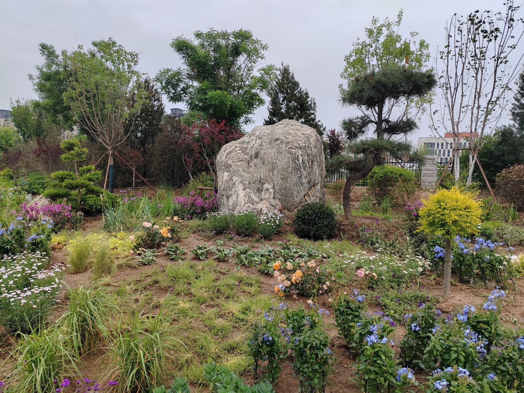 济阳区安澜湖公园旅行图片 3