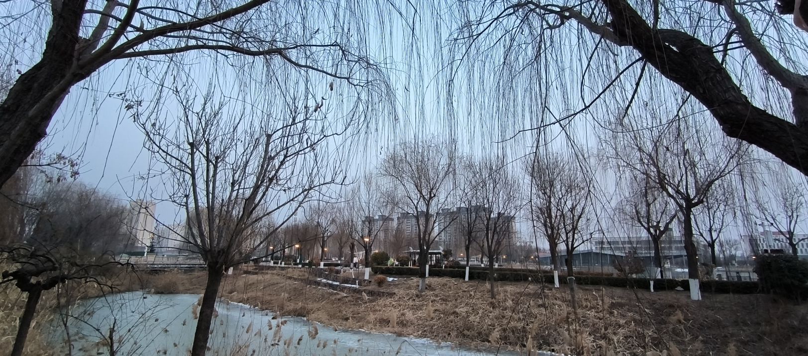 济阳区安澜湖公园旅行图片 3