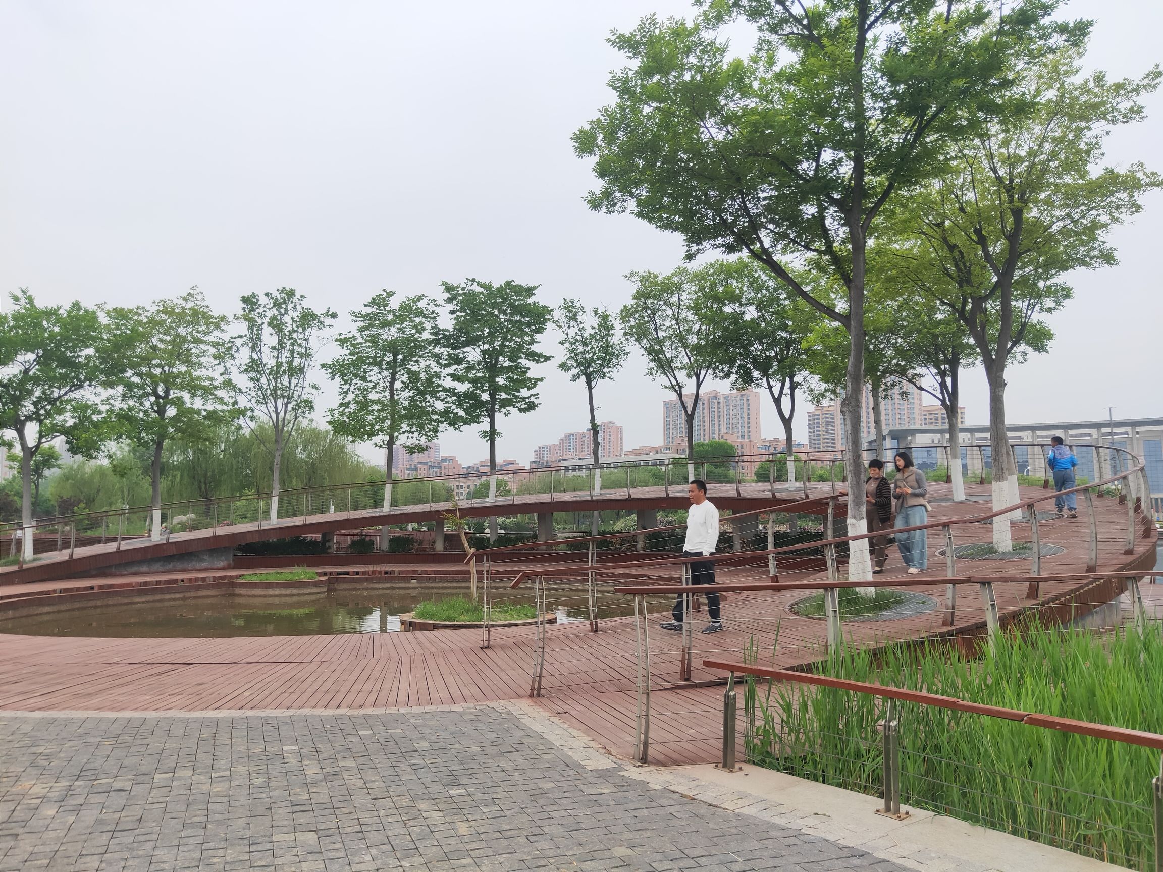 济阳区安澜湖公园旅行图片 2