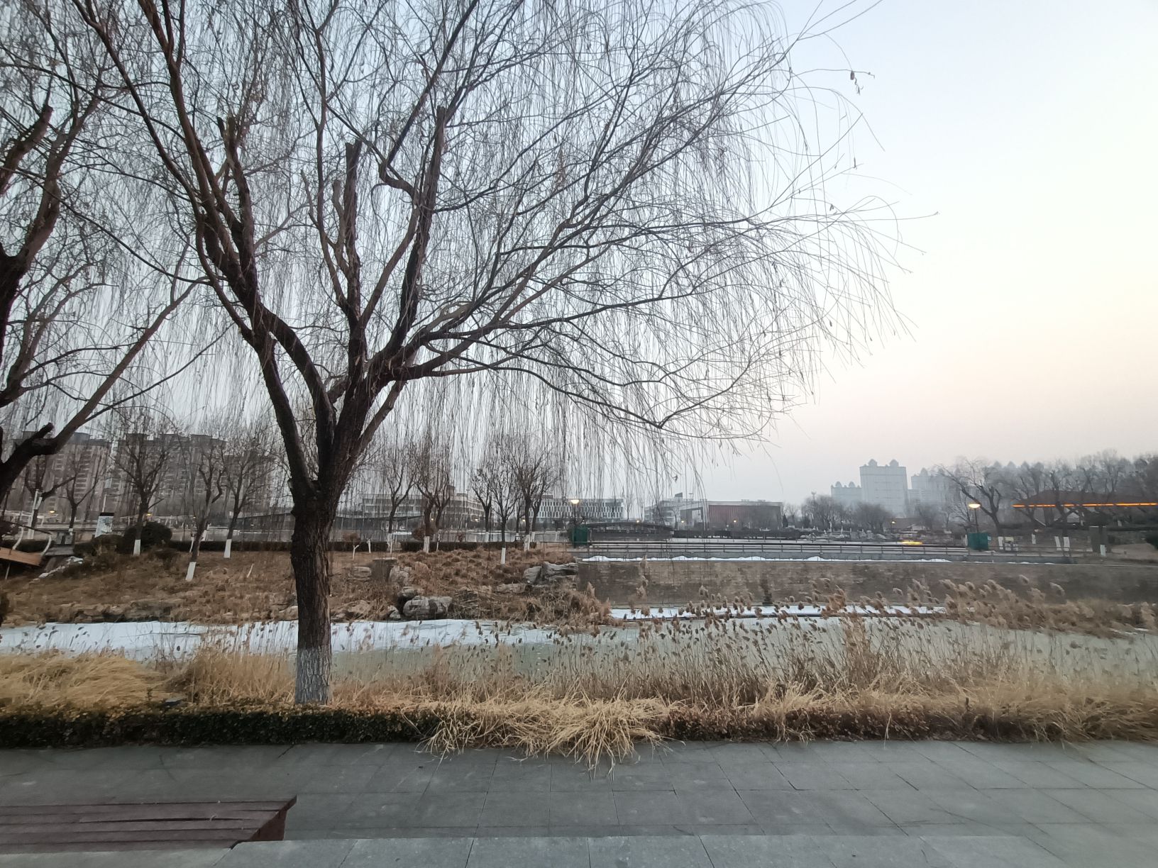 济阳区安澜湖公园旅行图片 2
