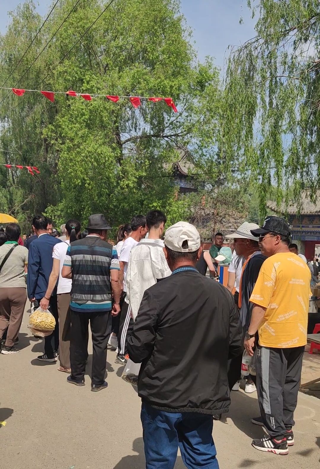 五棵树沿江旅游区旅行图片 3