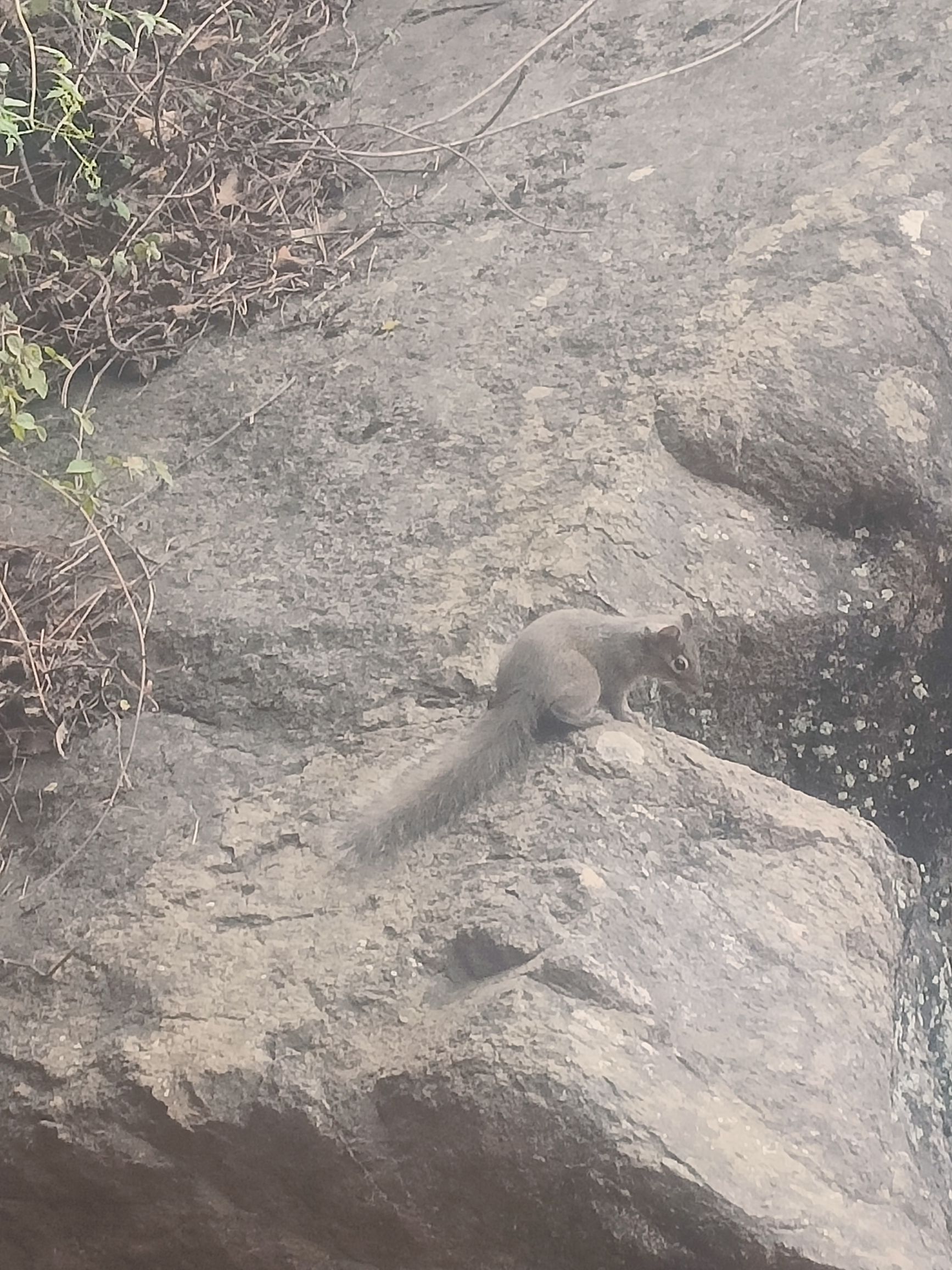 狐仙洞旅行图片 3