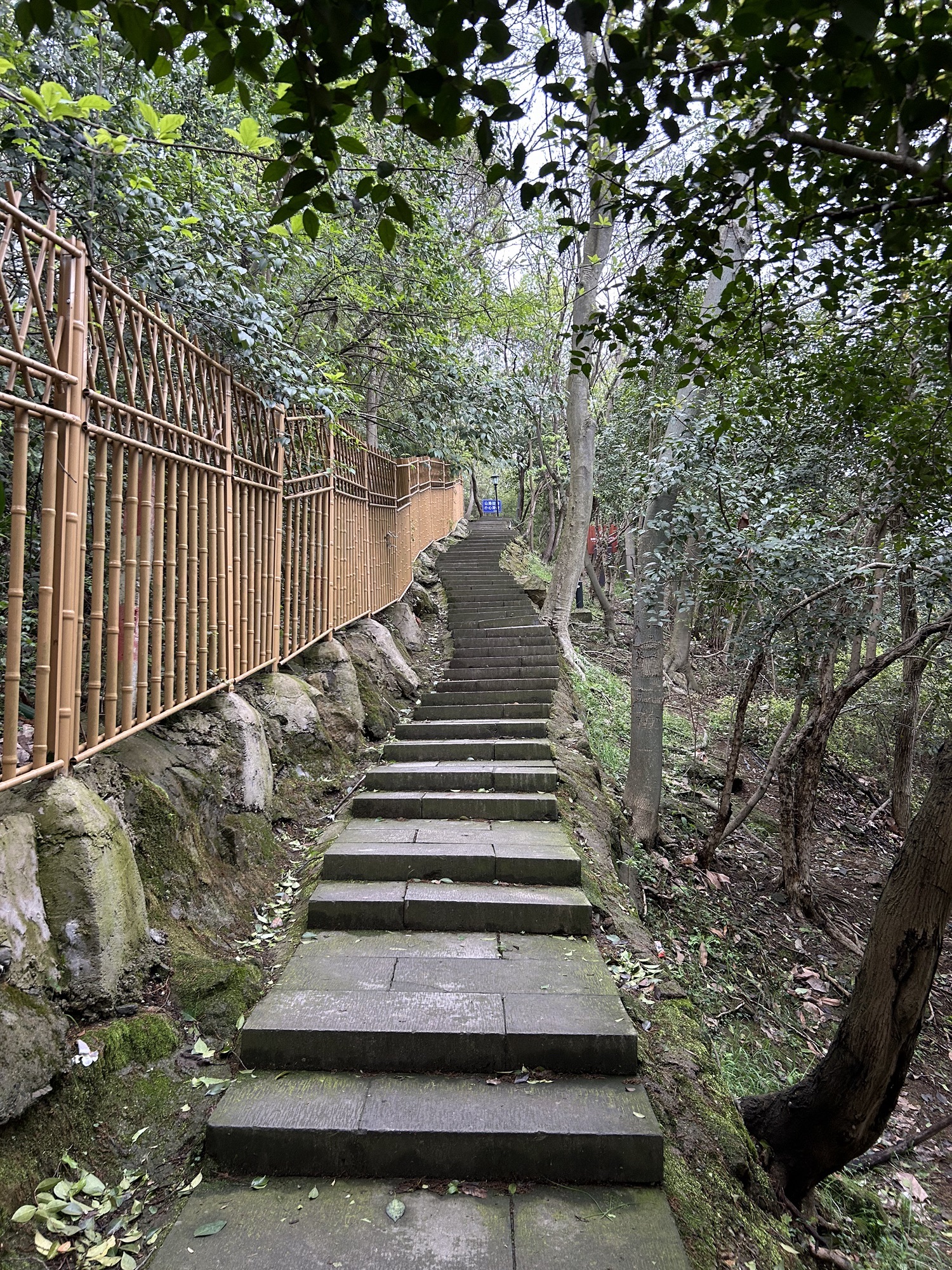 老鹰山旅行图片 3