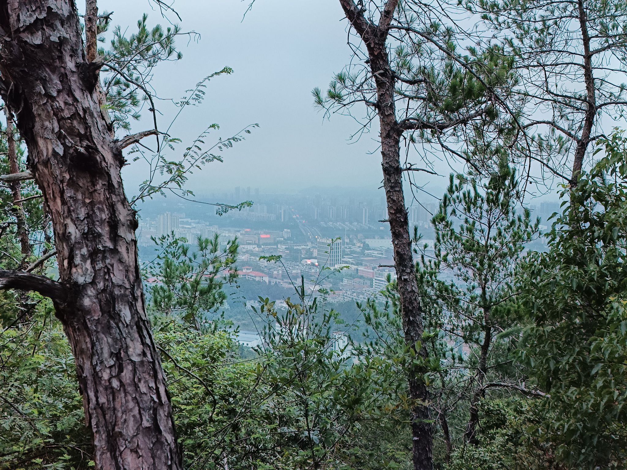 老鹰山旅行图片 3