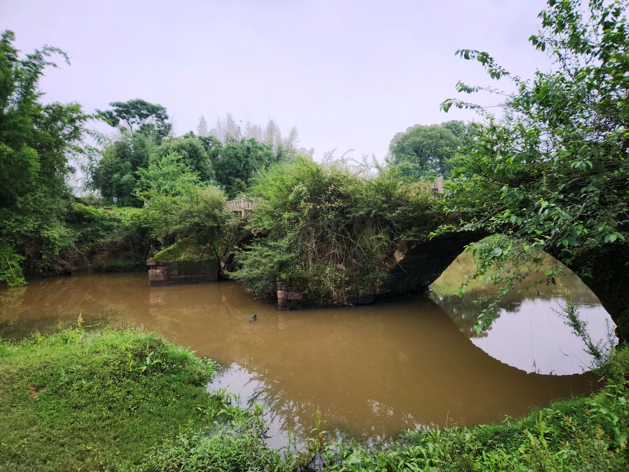 江畔古村旅行图片 3