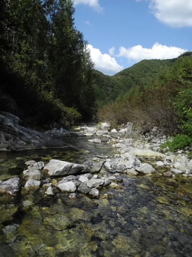 暴马川旅行图片 1