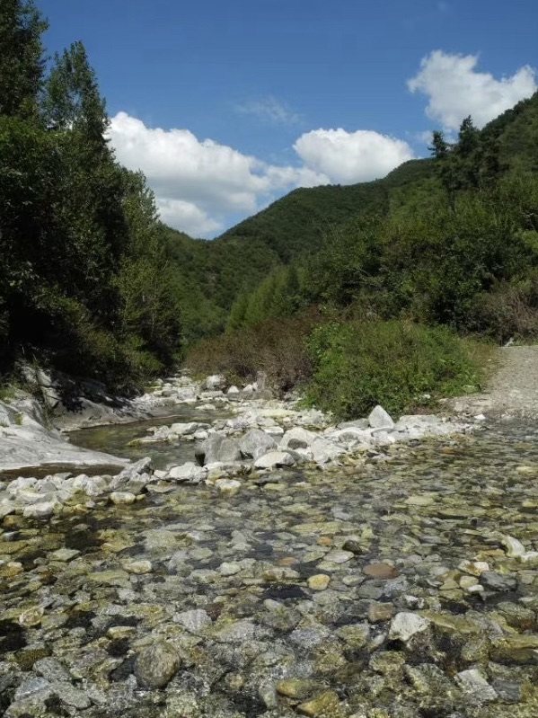 暴马川旅行图片 2