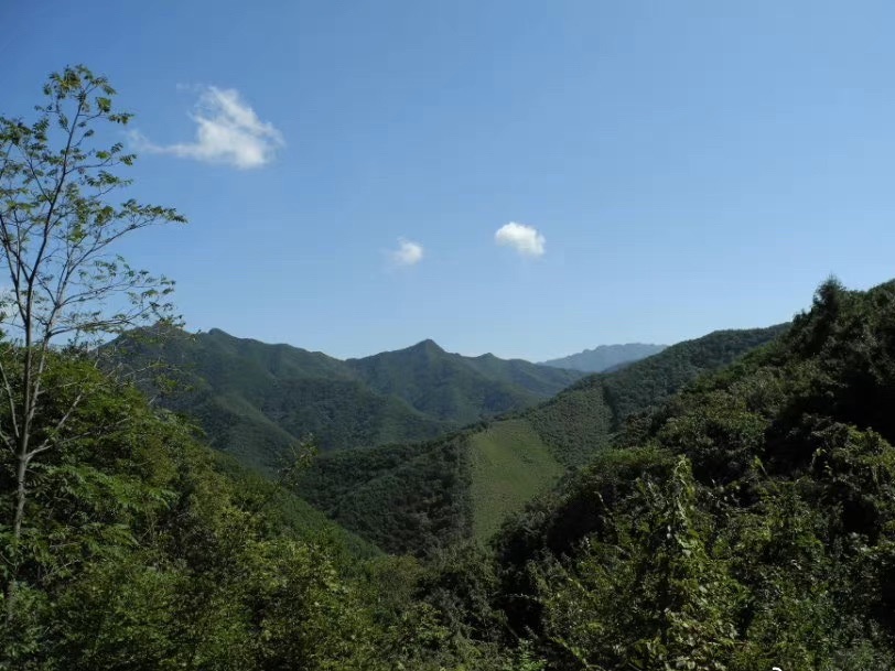 暴马川旅行图片 3