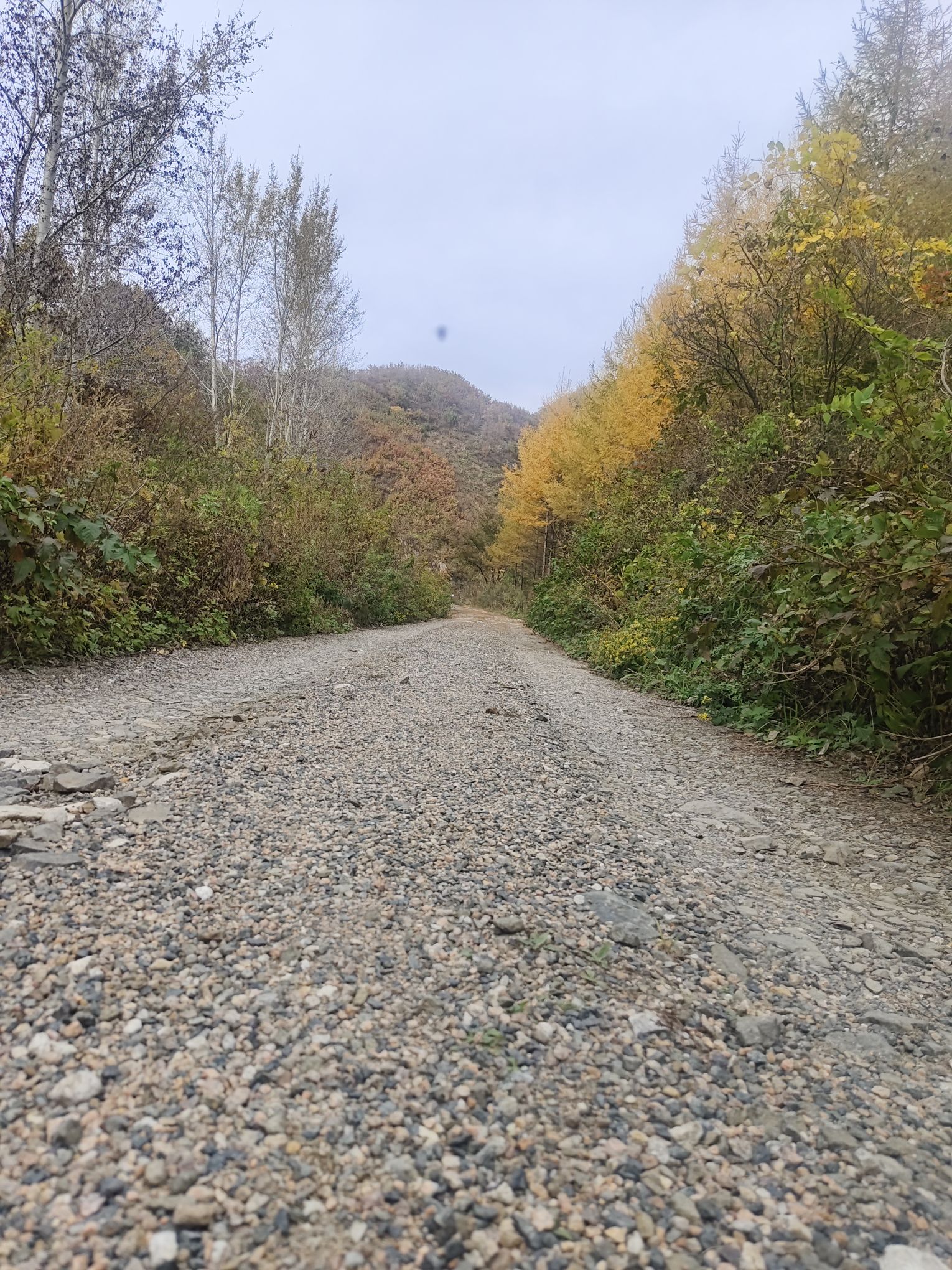 暴马川旅行图片 1