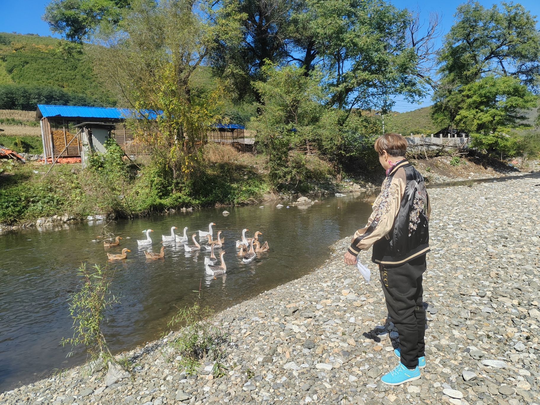 暴马川旅行图片 1