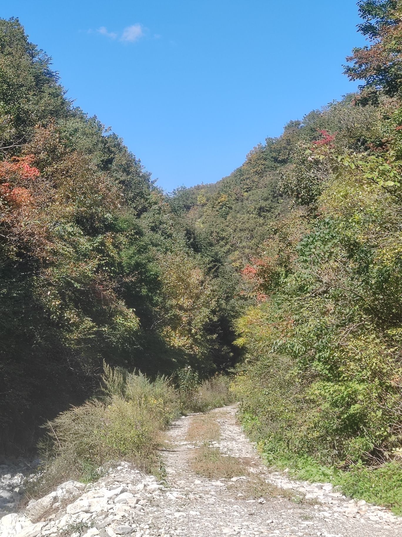 暴马川旅行图片 2