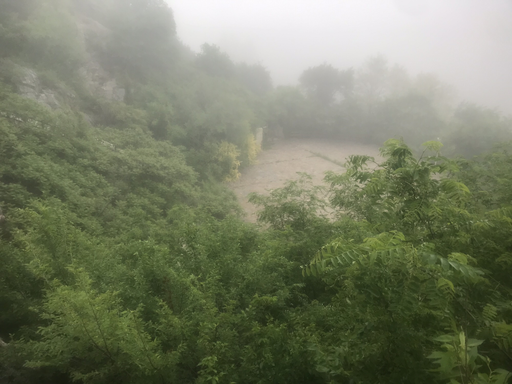 庙后山遗址旅行图片 2