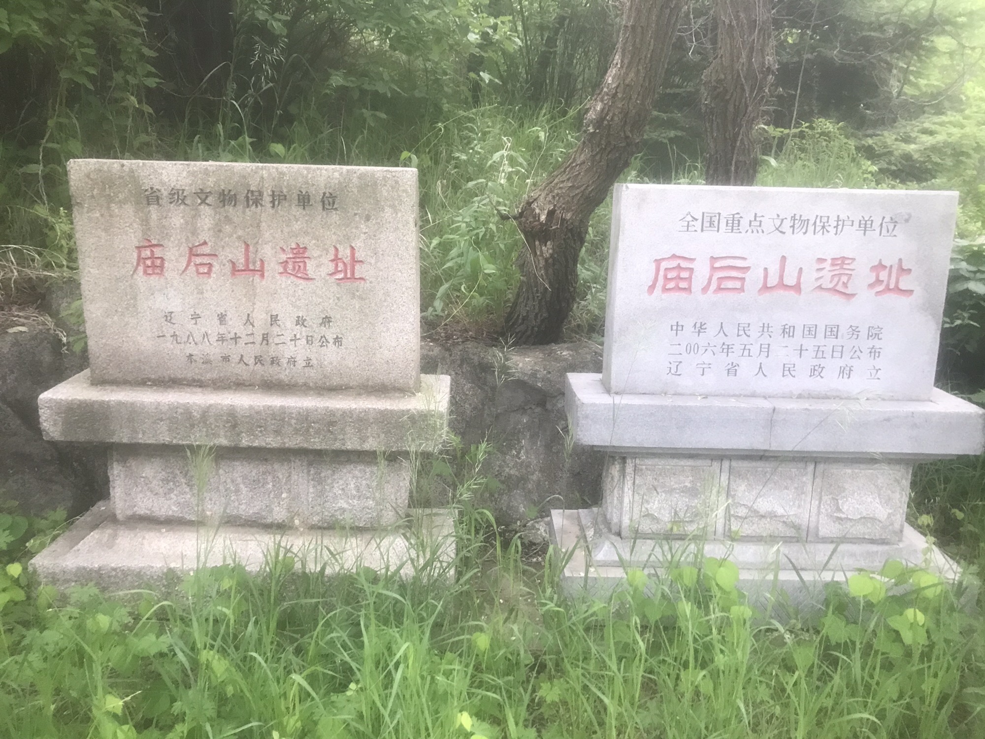 庙后山遗址旅行图片 3