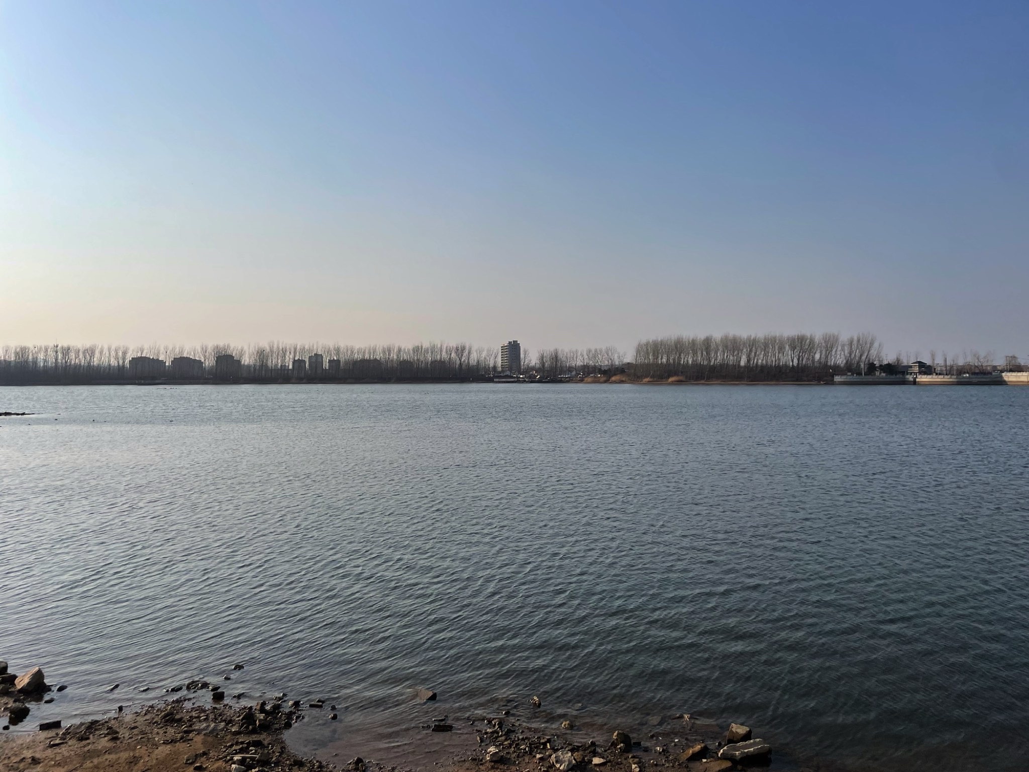 张相湖湿地公园旅行图片 1