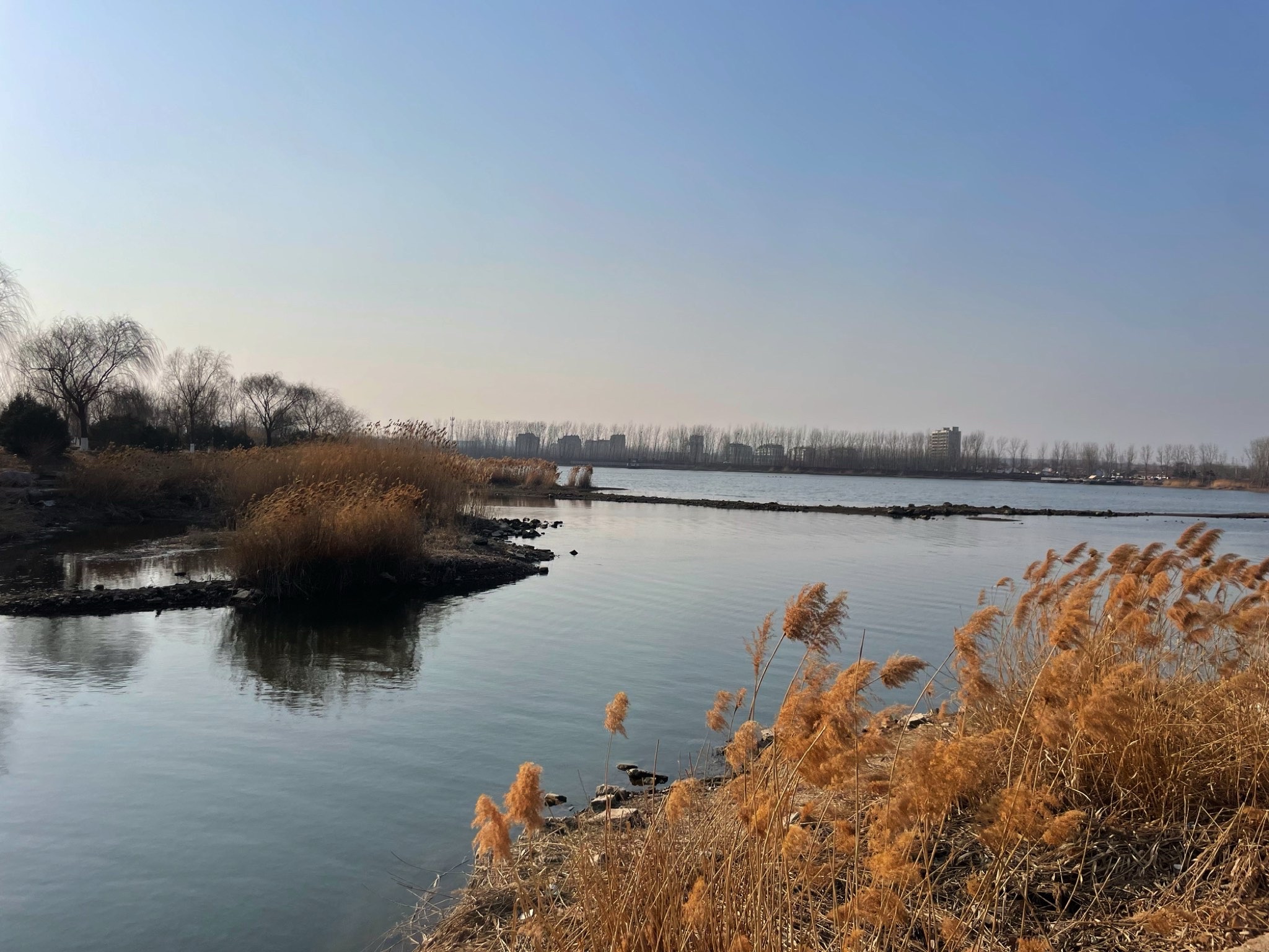 张相湖湿地公园旅行图片 3