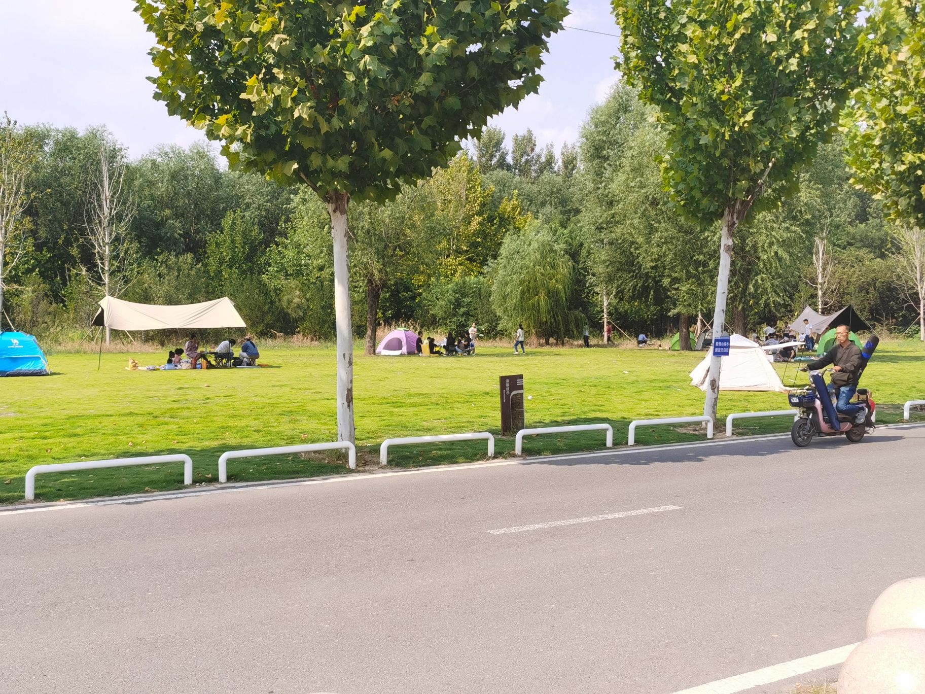 张相湖湿地公园旅行图片 3