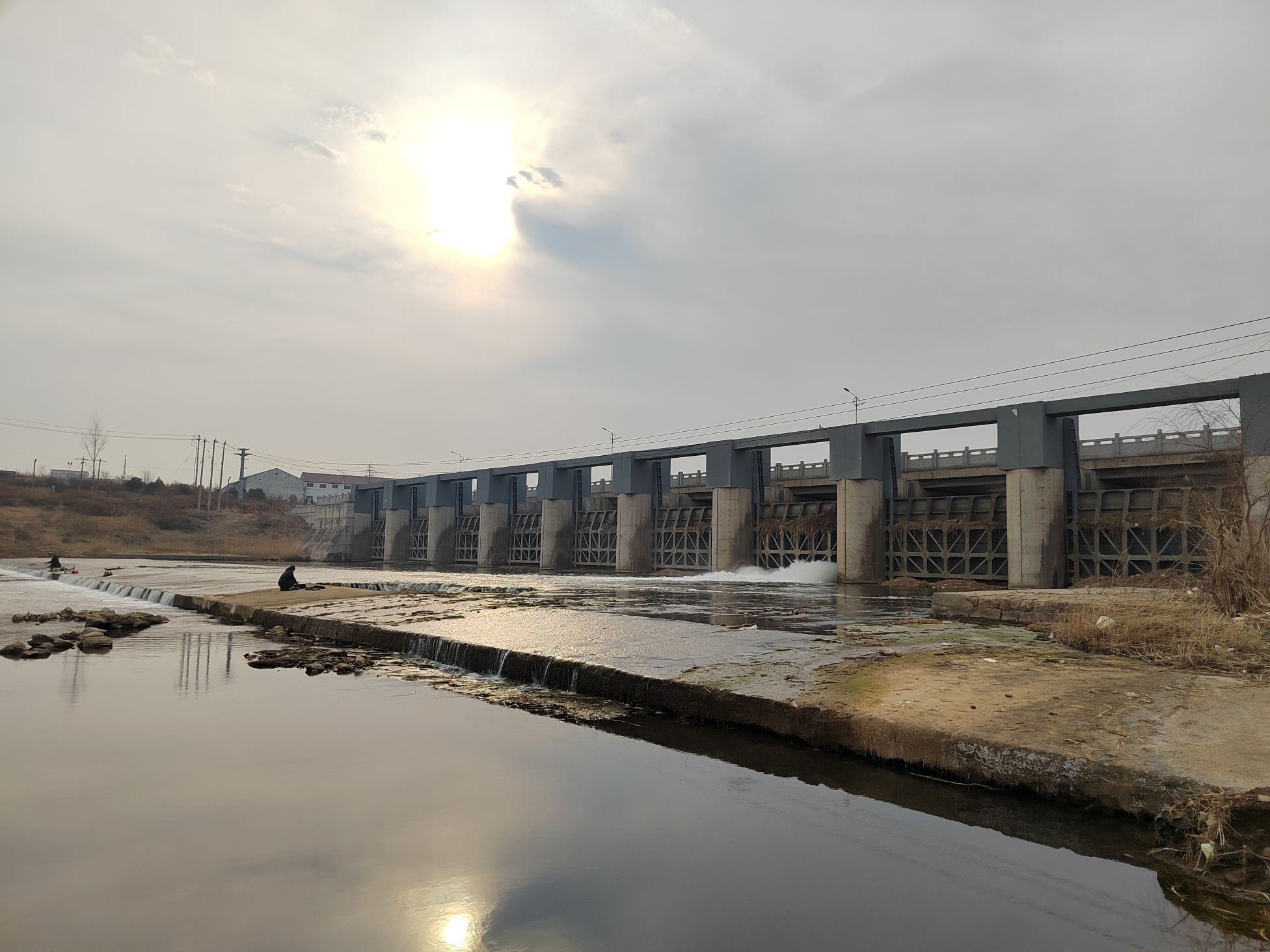 张相湖湿地公园旅行图片 2
