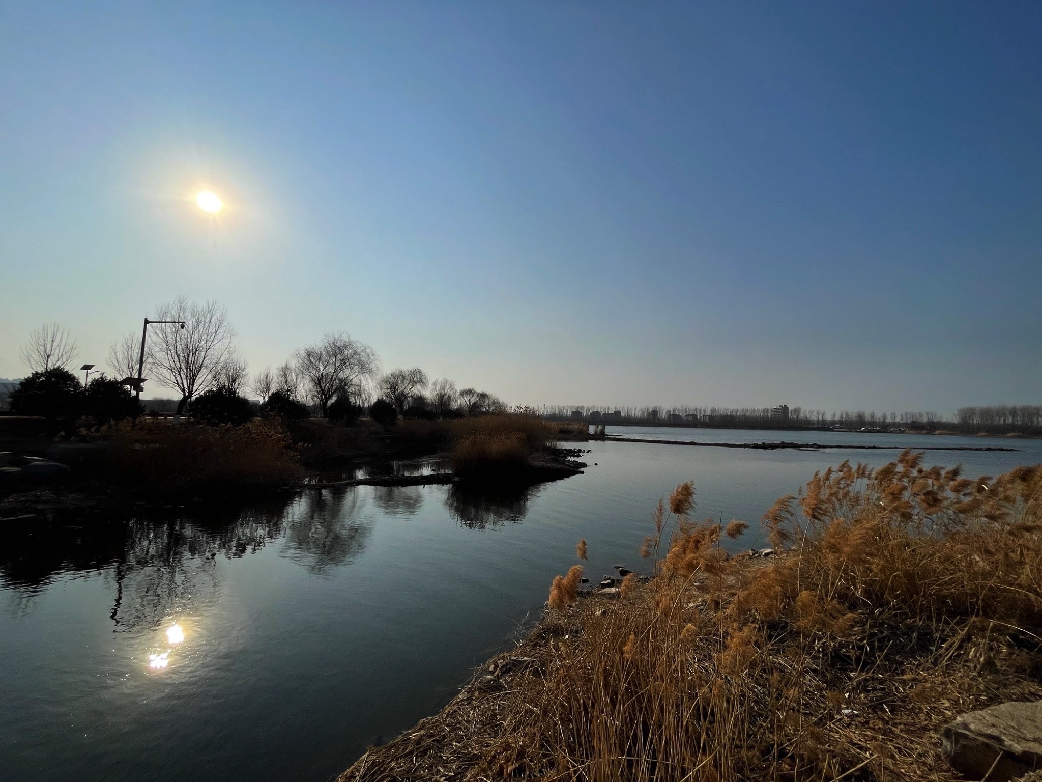 张相湖湿地公园旅行图片 2