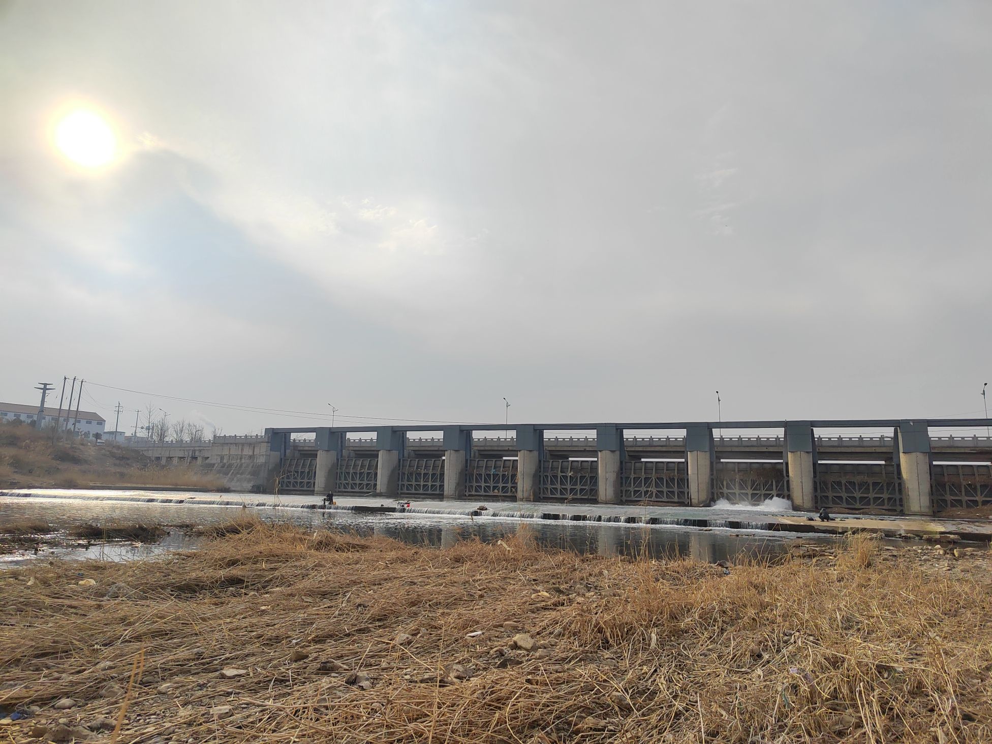 张相湖湿地公园旅行图片 1
