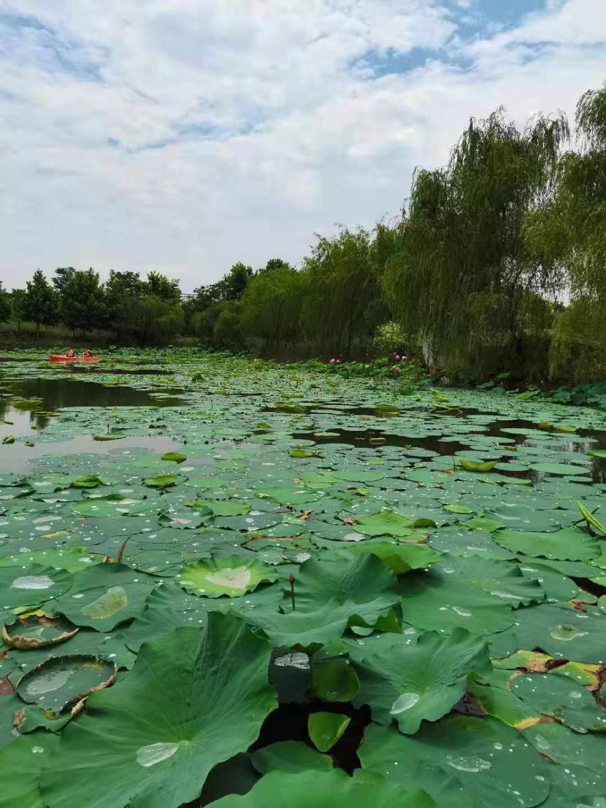 印象江南生态乐园旅行图片 1