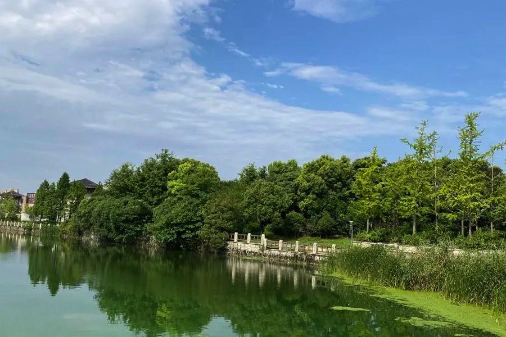印象江南生态乐园旅行图片 1