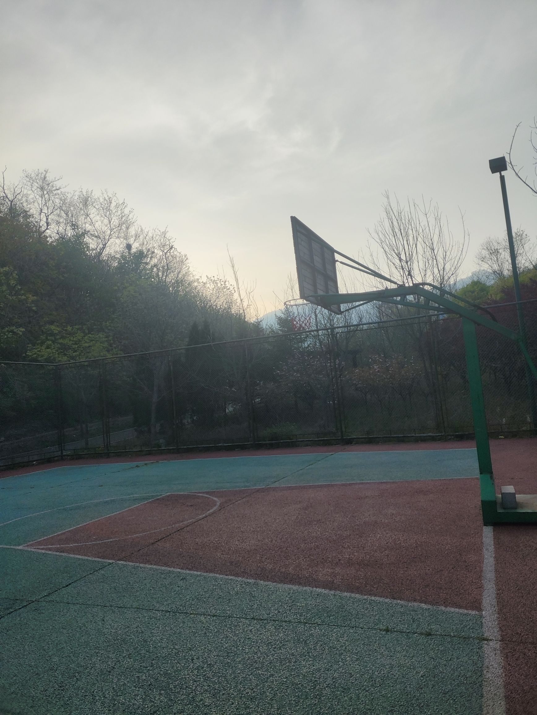 大顶山生态公园旅行图片 3