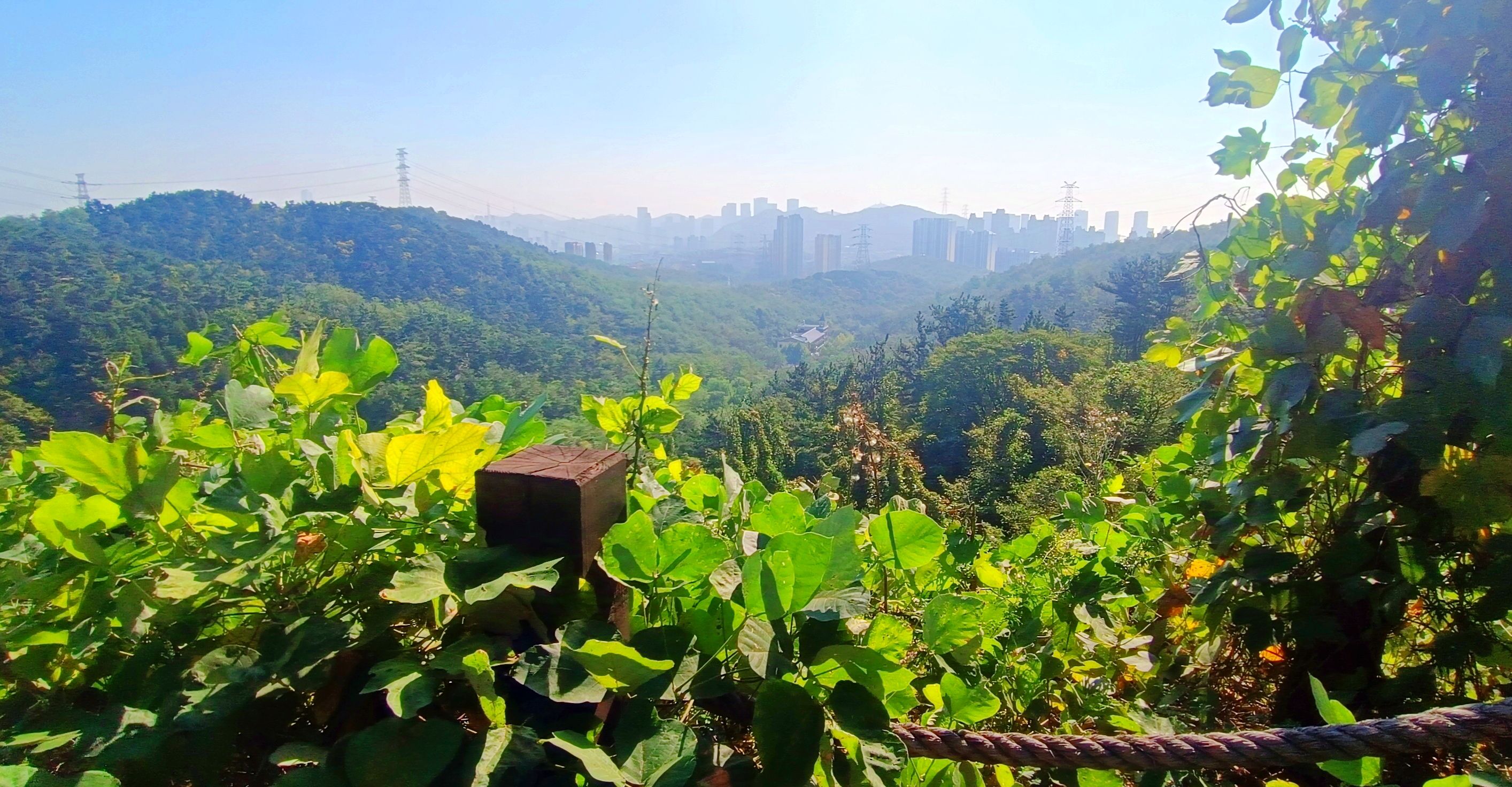 大顶山生态公园旅行图片 2