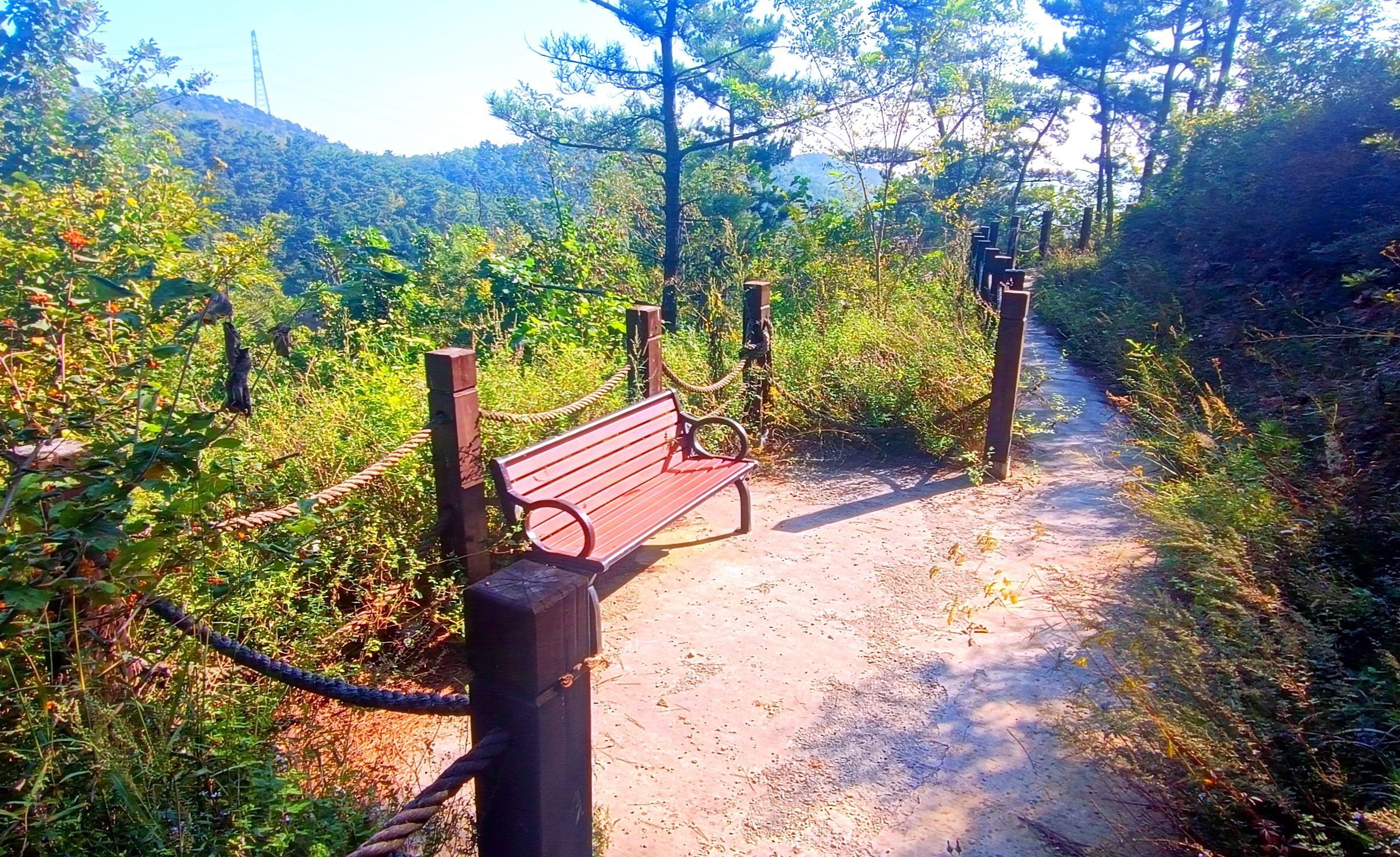 大顶山生态公园旅行图片 1