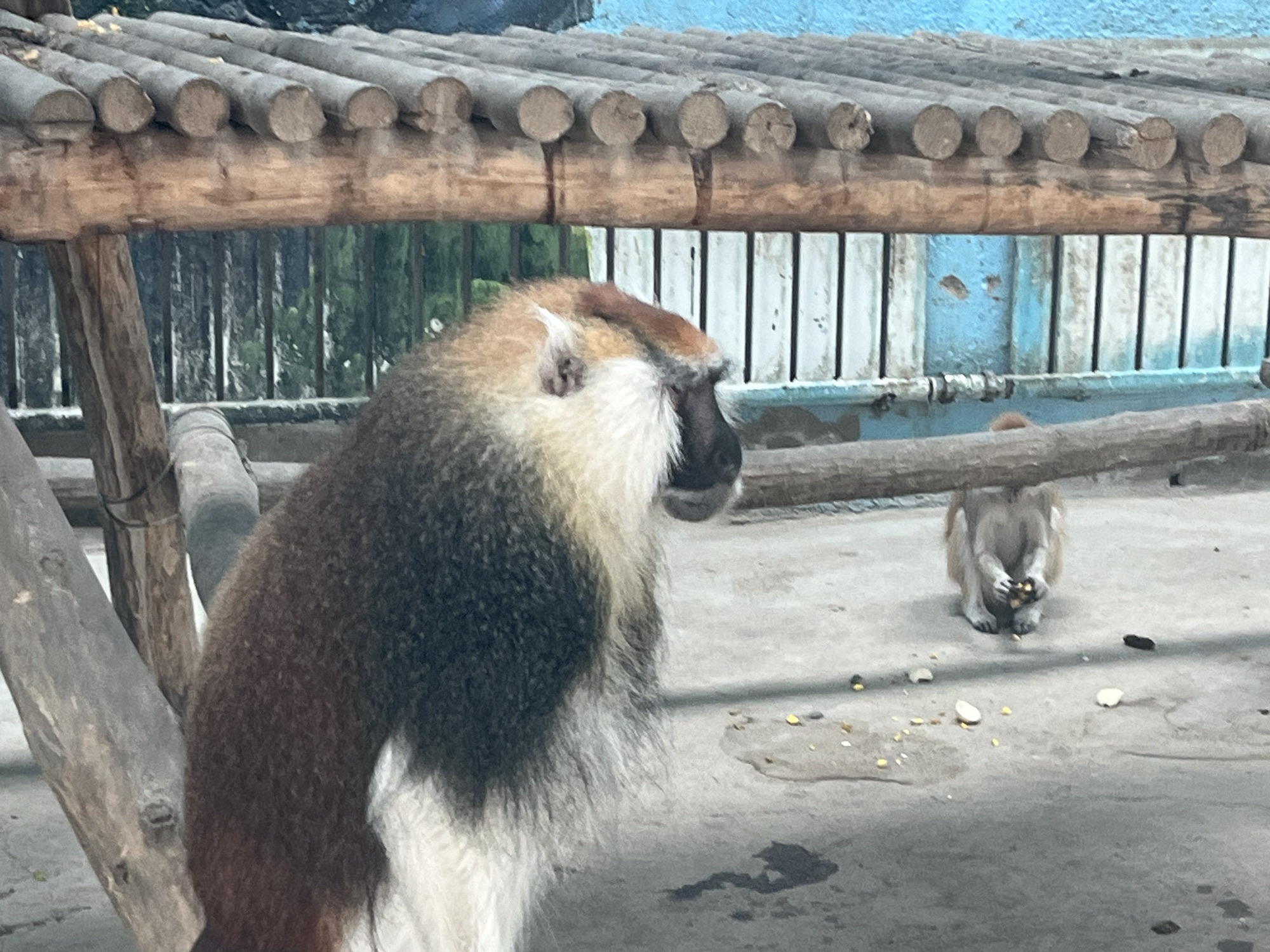 衡水野生动物园旅行图片 1