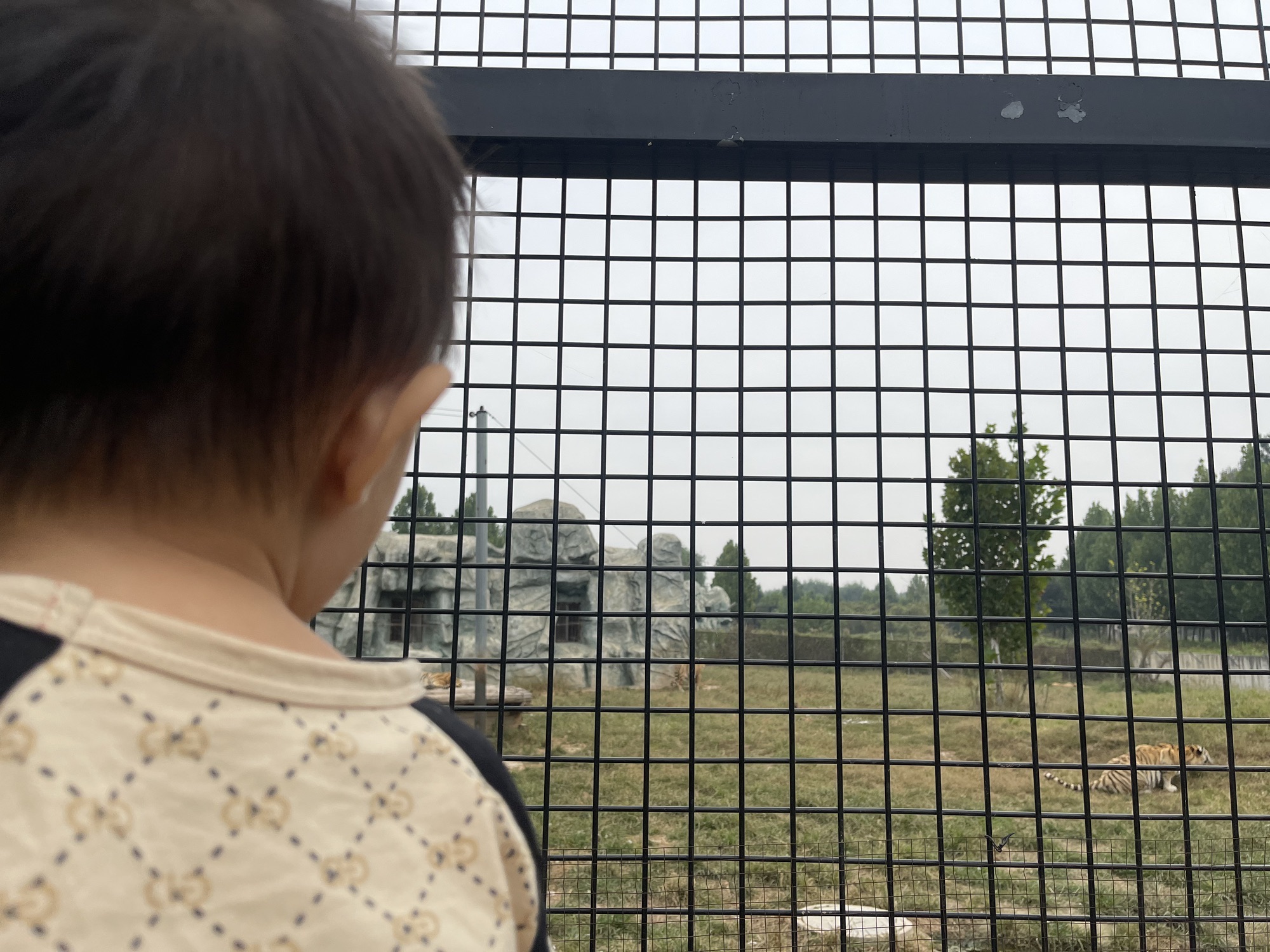 衡水野生动物园旅行图片 2