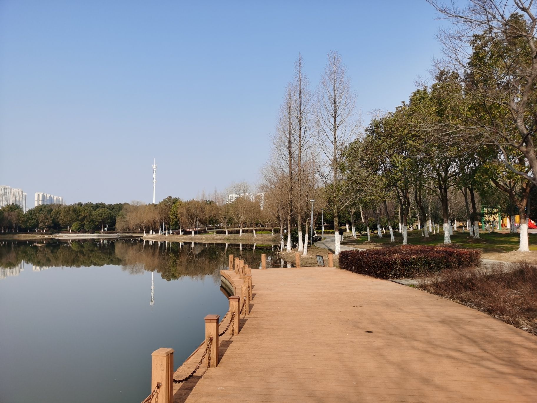明镜湖公园旅行图片 1