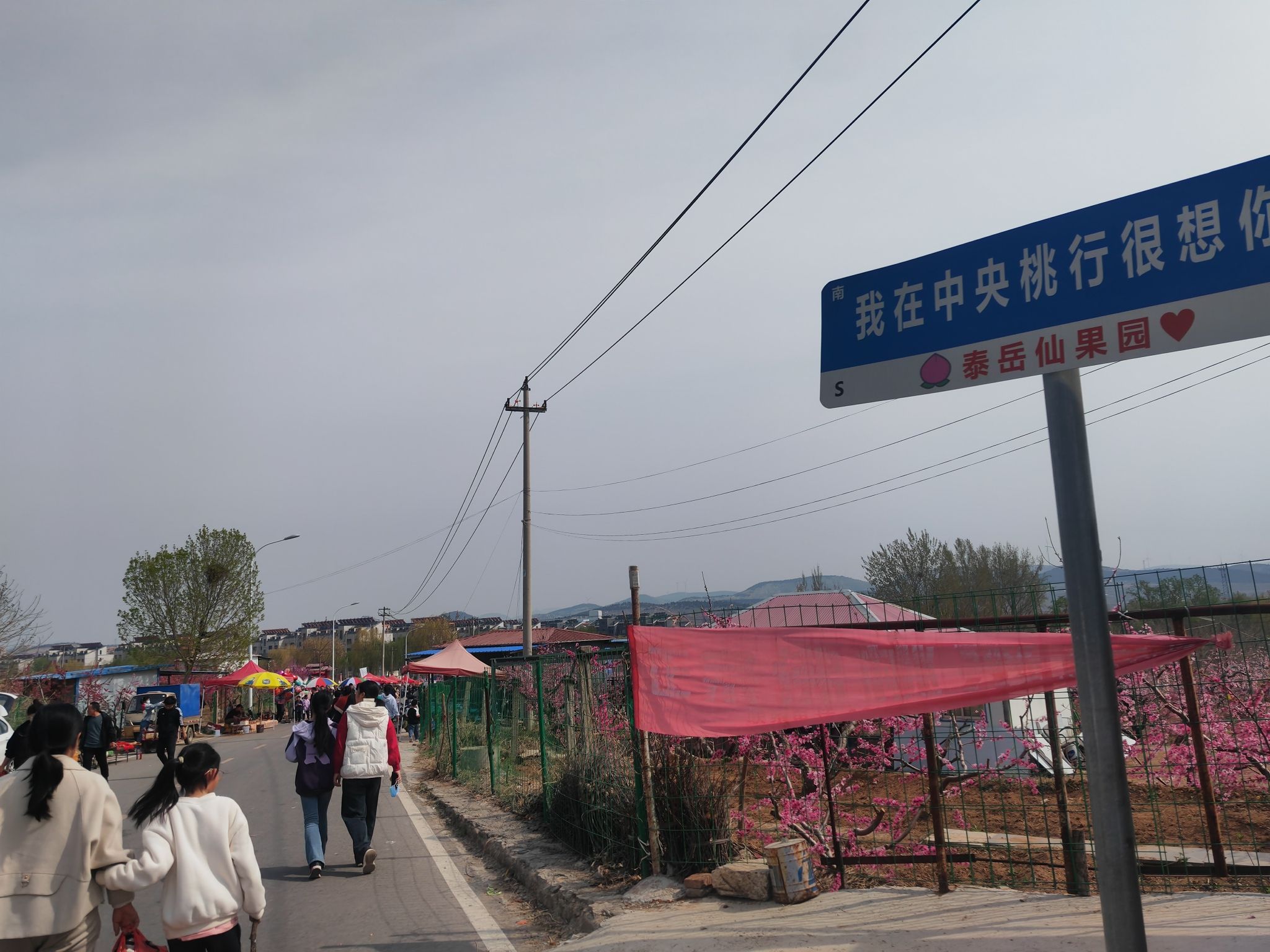 中央桃行风景区旅行图片 3