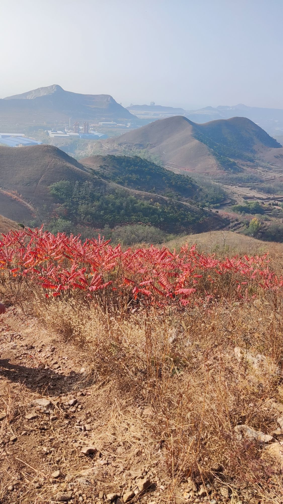 古冶区金硕生态景观公园旅行图片 1