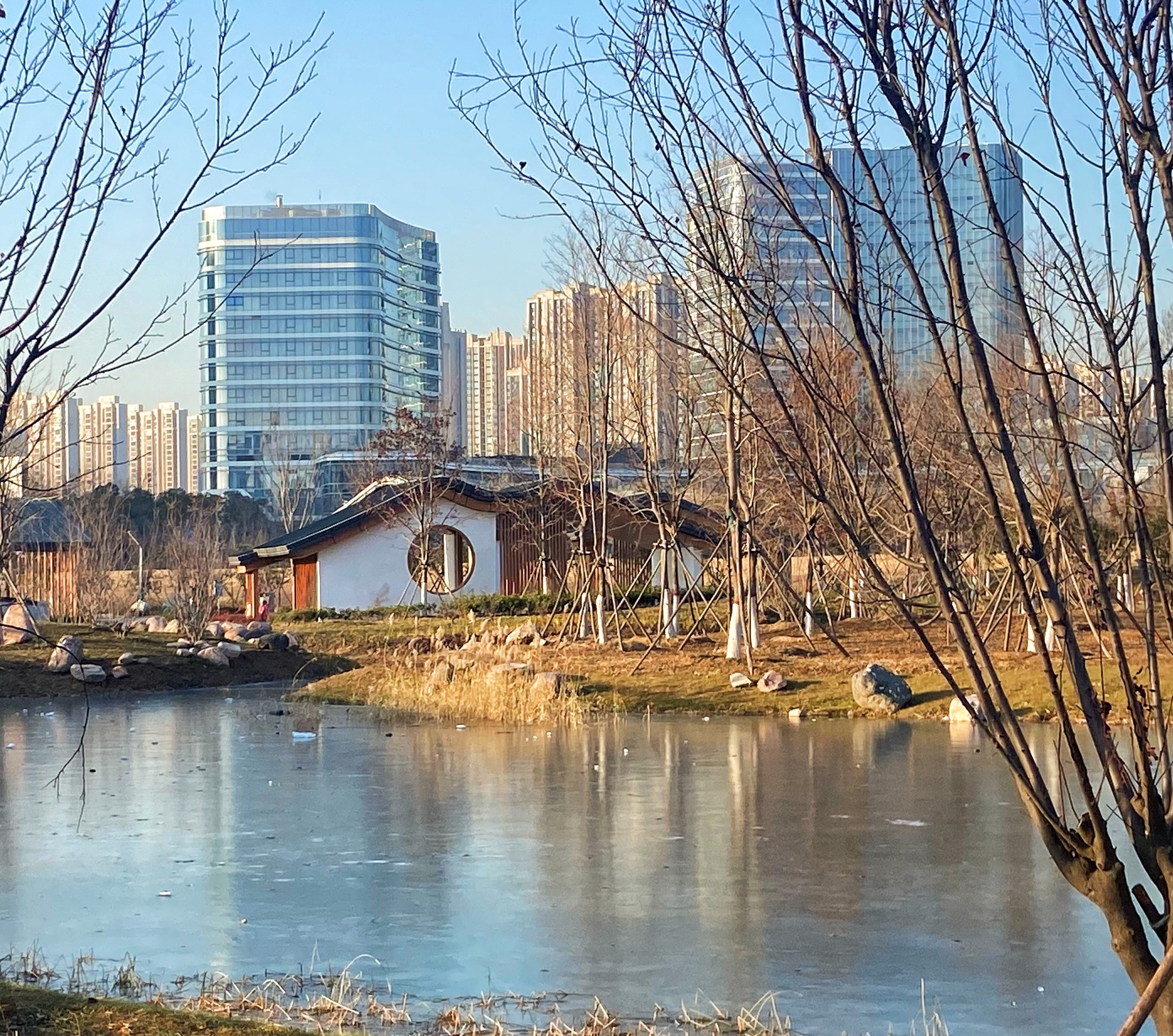 荷湖旅行图片 3