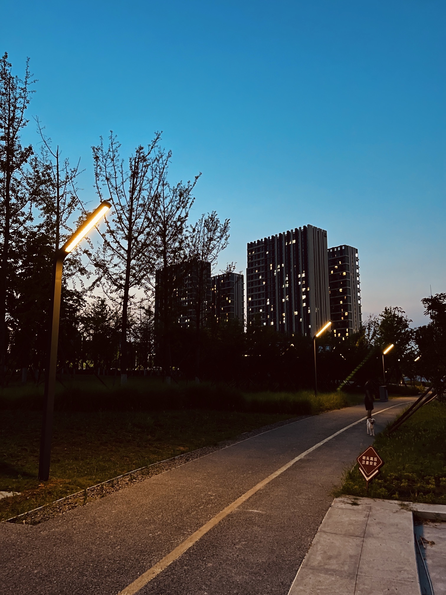 荷湖旅行图片 3