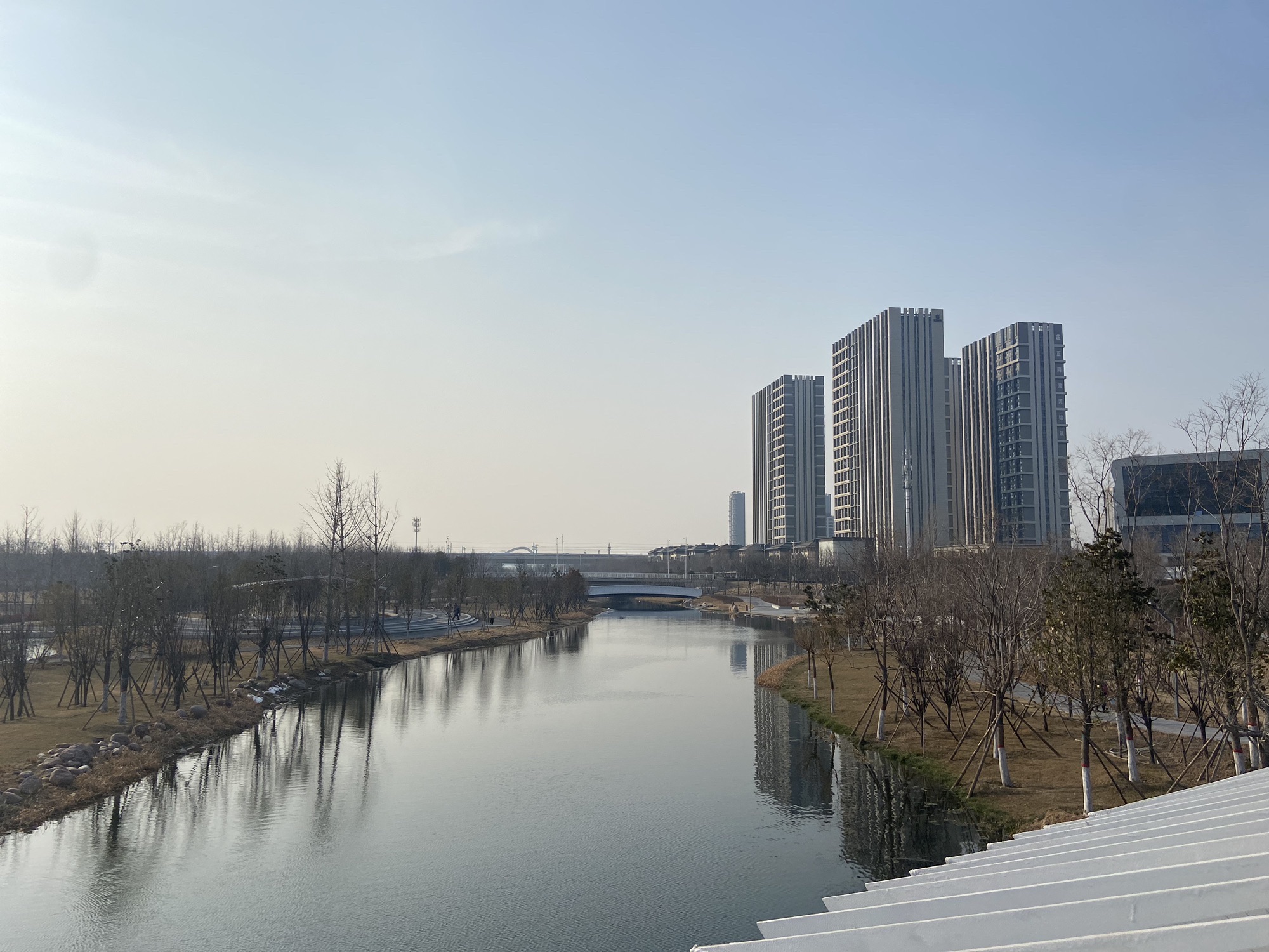 荷湖旅行图片 1