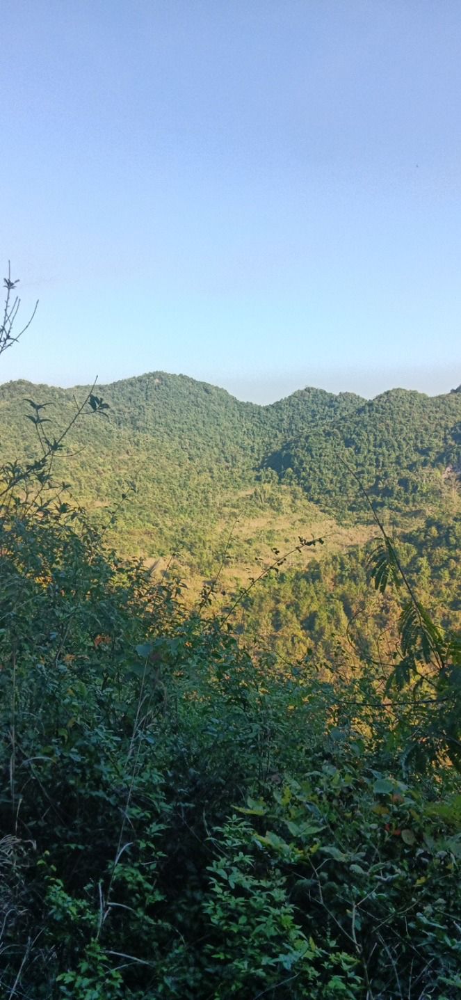 龙烈玻璃栈道景区旅行图片 1