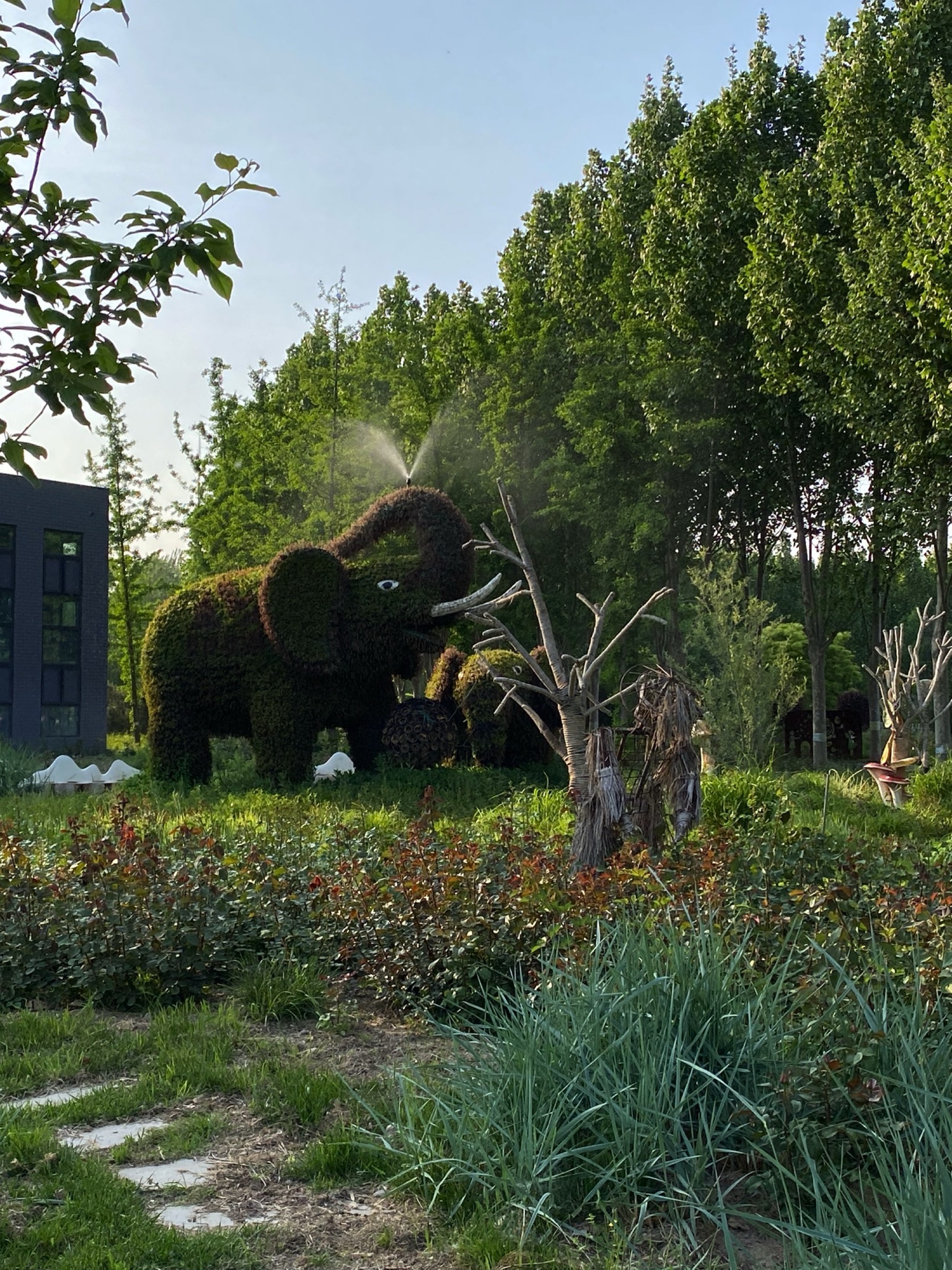北京纳波湾园艺有限公司旅行图片 2