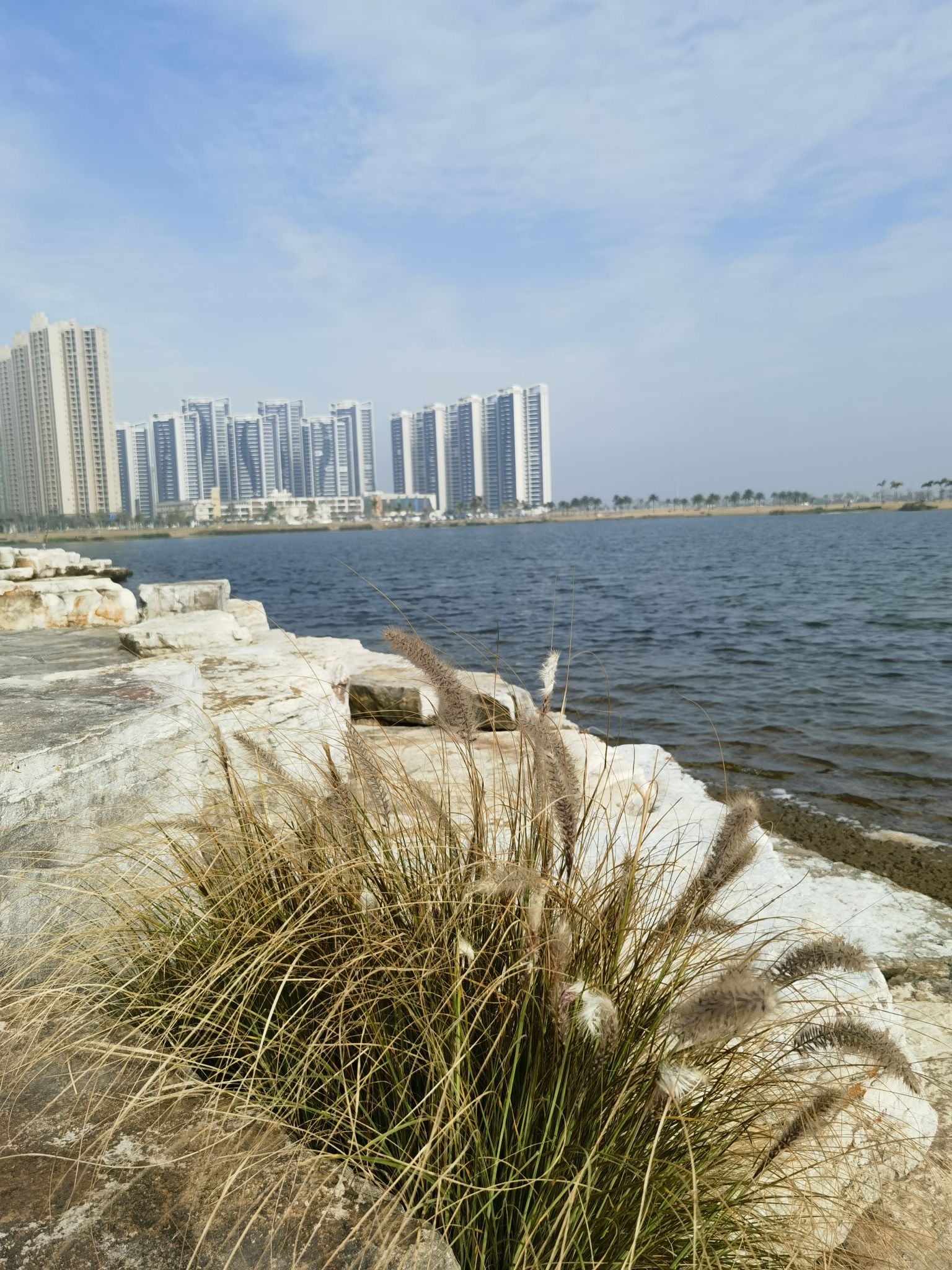 平沙公园旅行图片 2