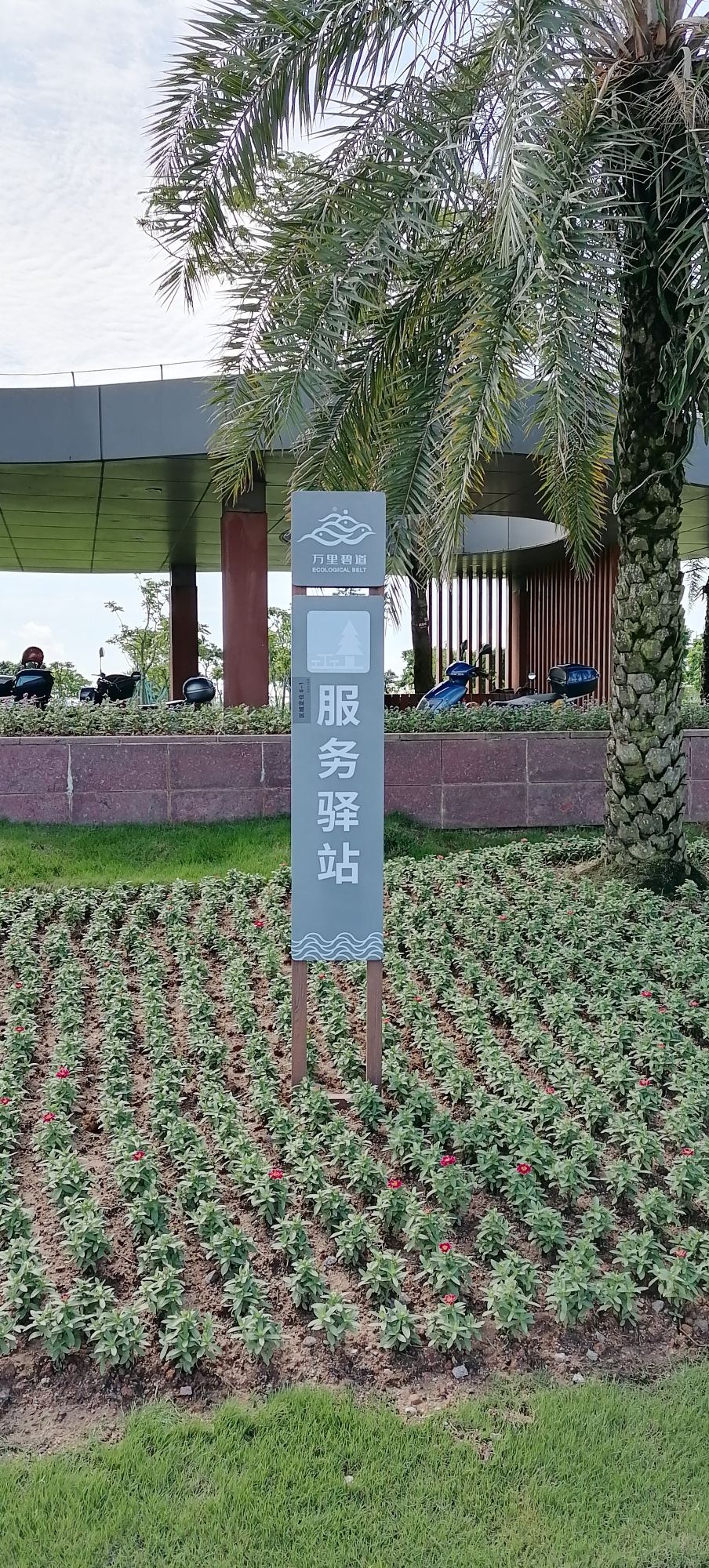 平沙公园旅行图片 2