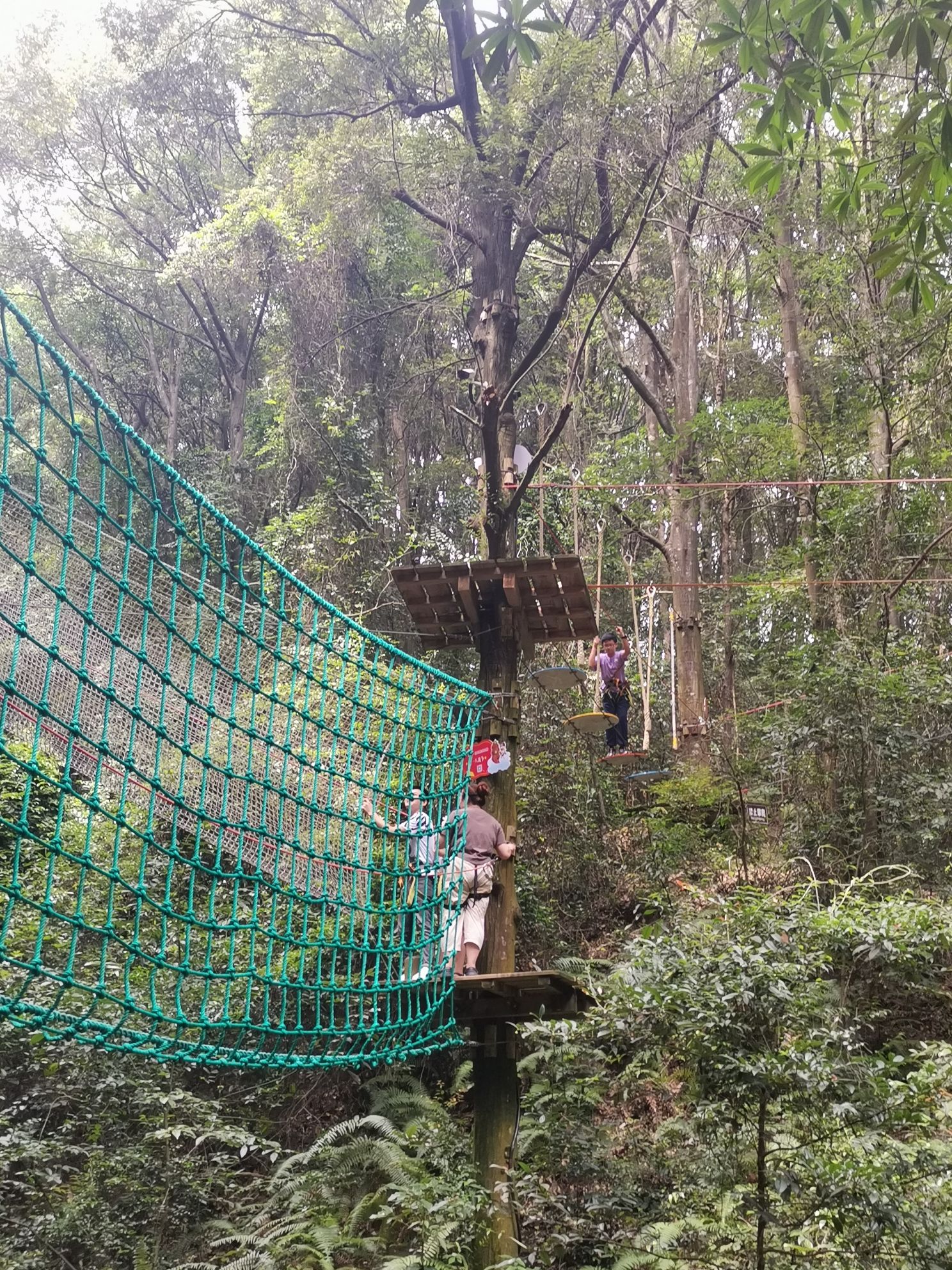 大荫山丛林飞越探险乐园旅行图片 3